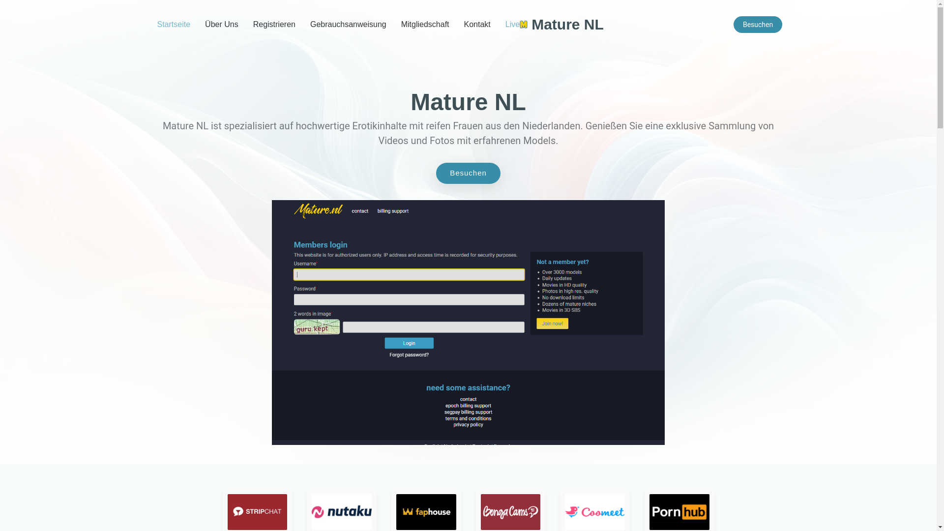 website screenshot of https://maturenl-german.com/