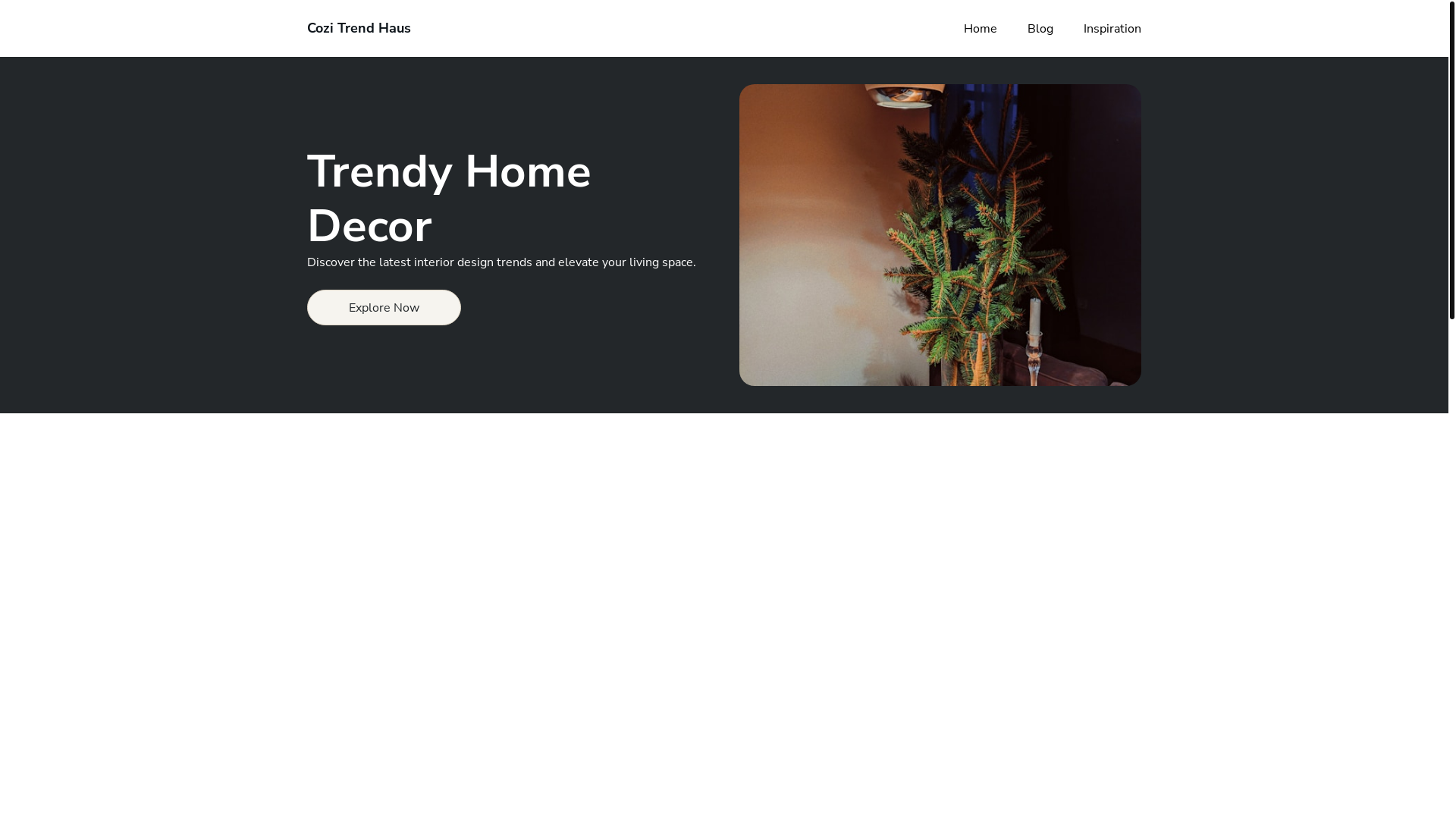 website screenshot of https://cozitrendhaus.com/