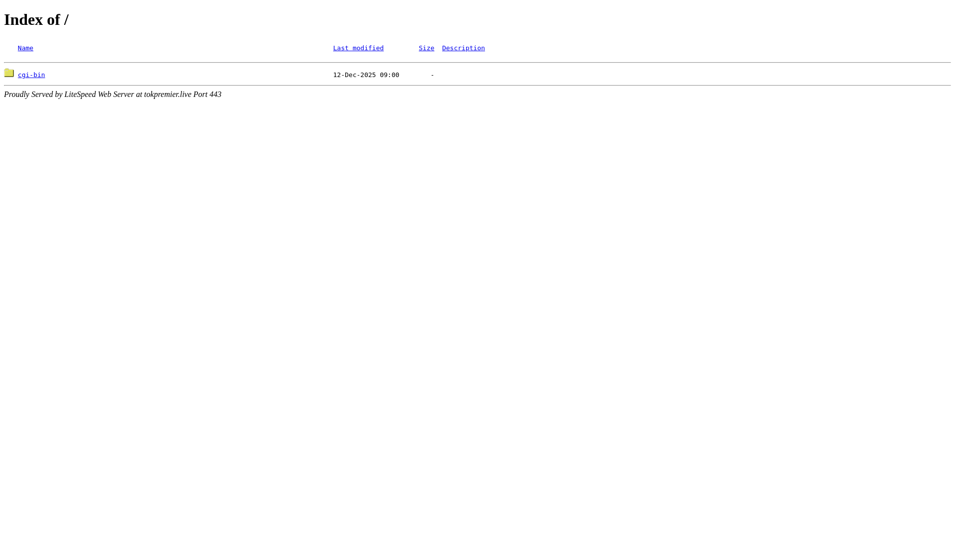 website screenshot of https://tokpremier.live/