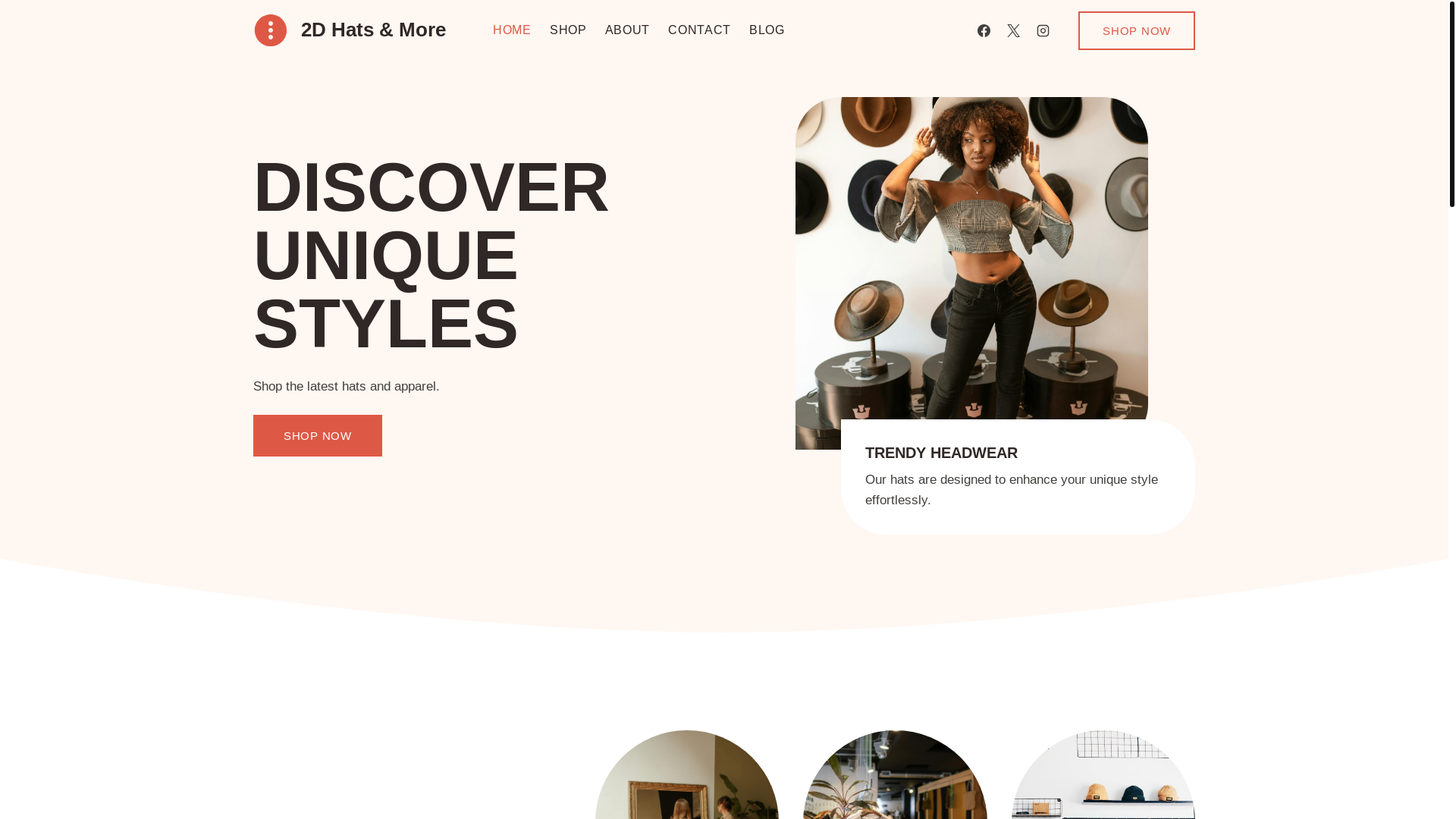 website screenshot of https://2dhatsandmore.com/