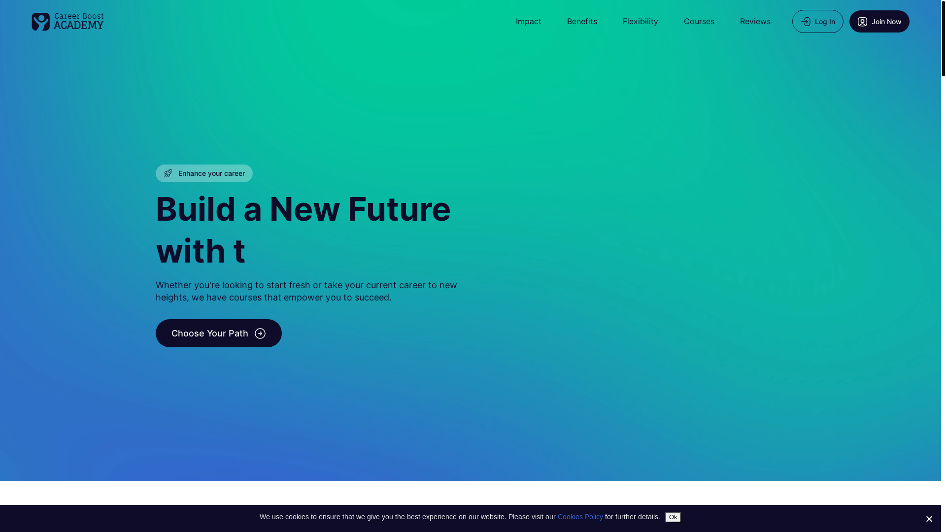 website screenshot of https://careerboost.academy/