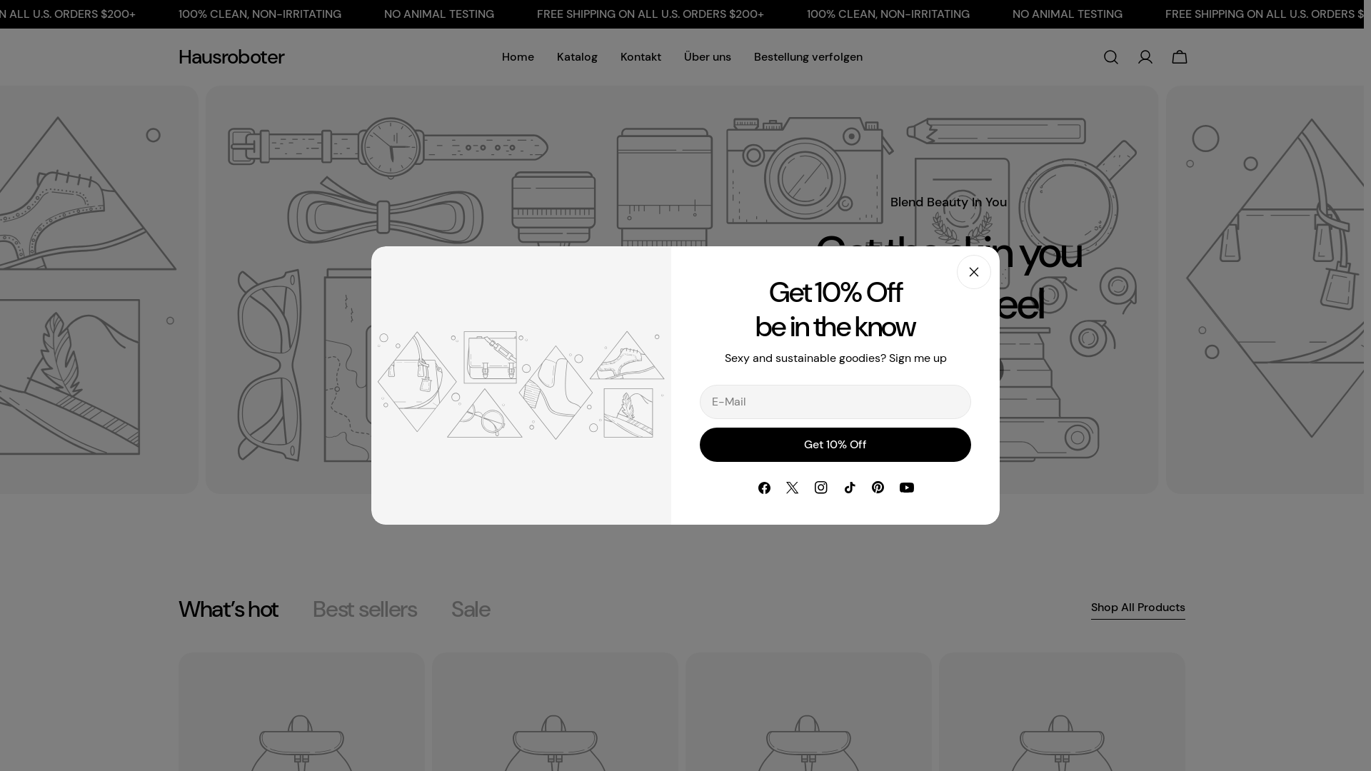 website screenshot of https://hausroboter.shop/