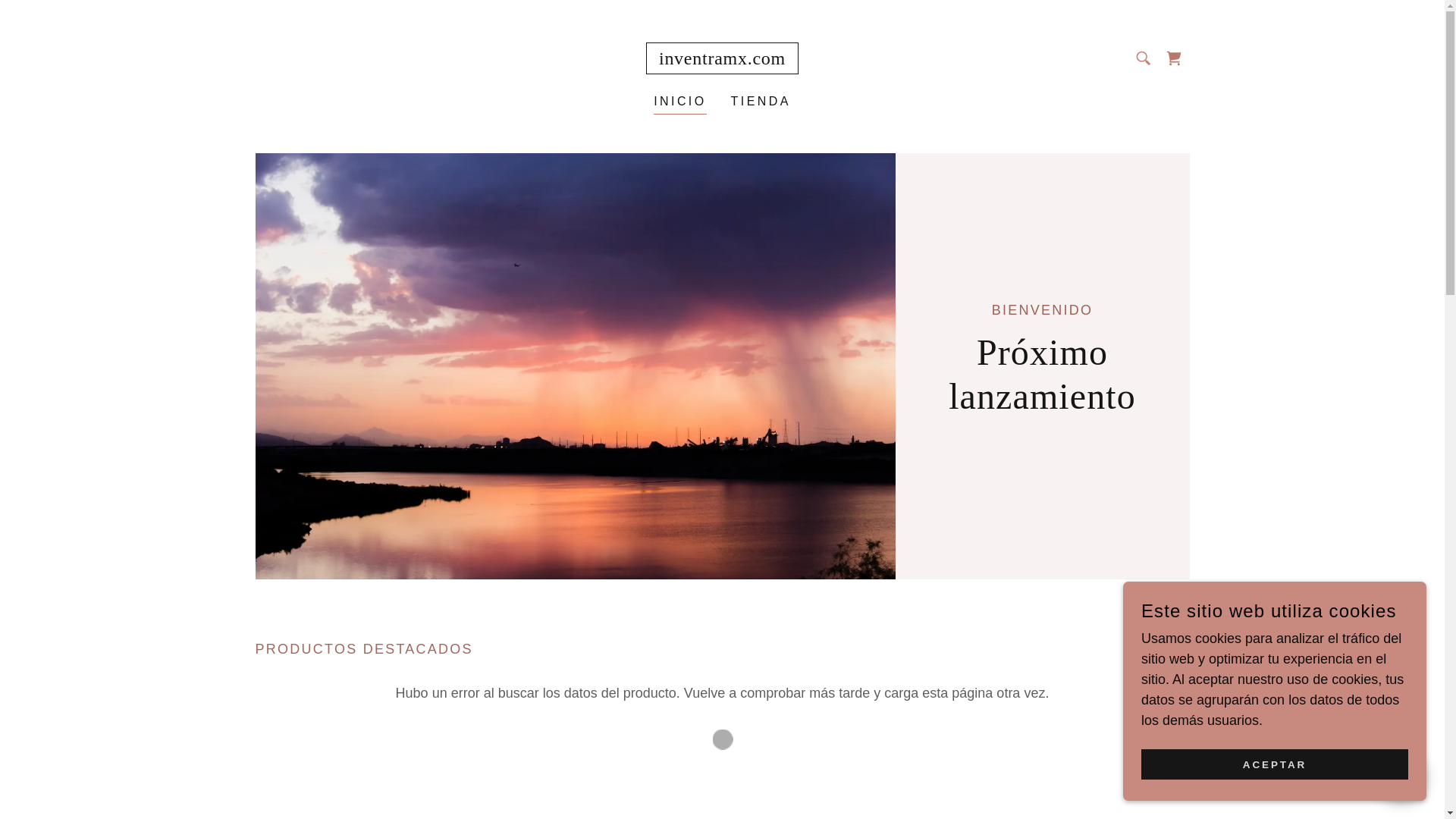 website screenshot of https://inventramx.com/