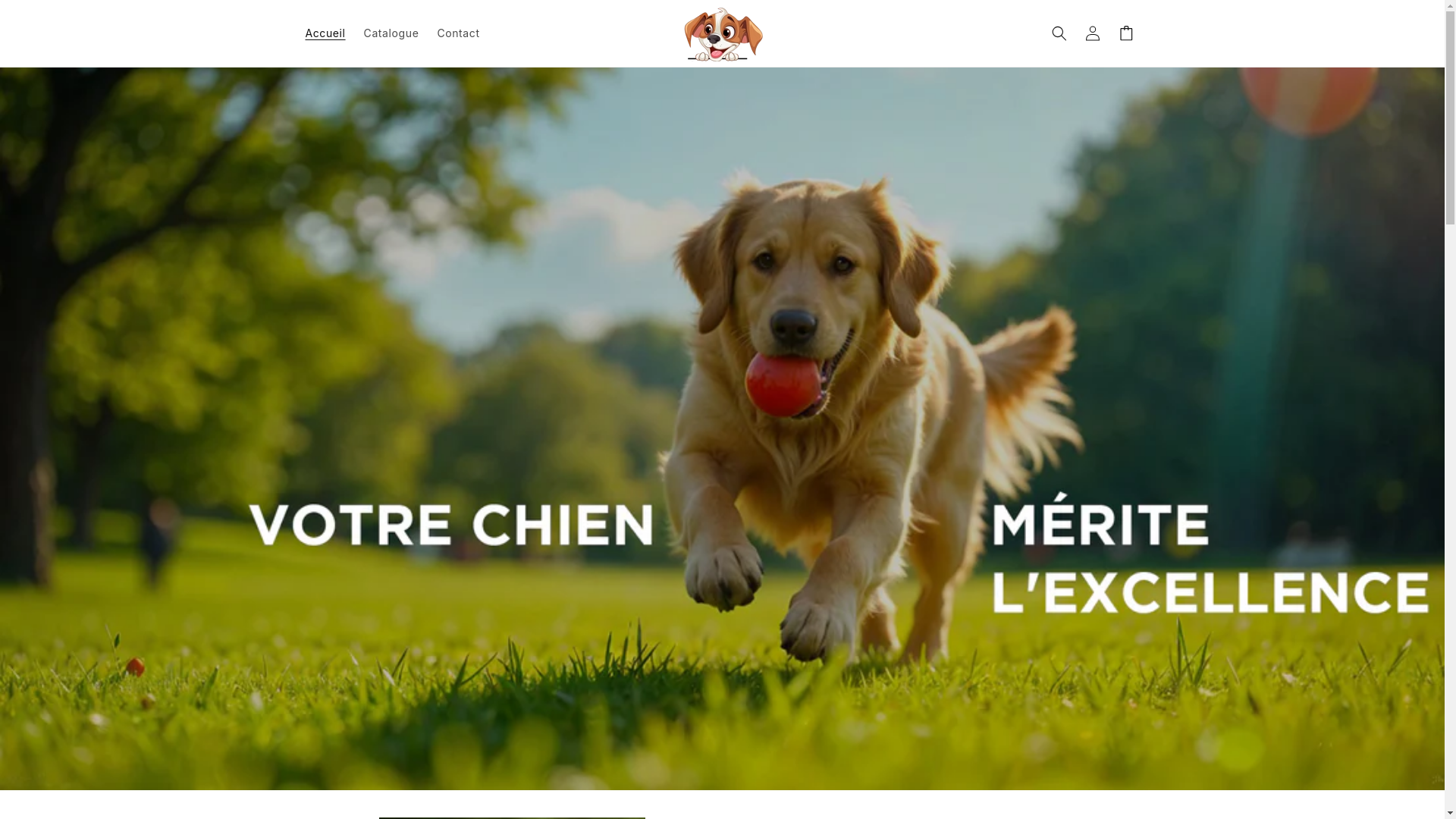 website screenshot of https://boutique-des-anima.store/