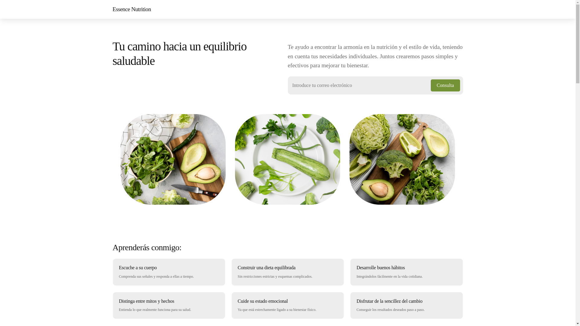 website screenshot of https://essencenutritionetc.info/