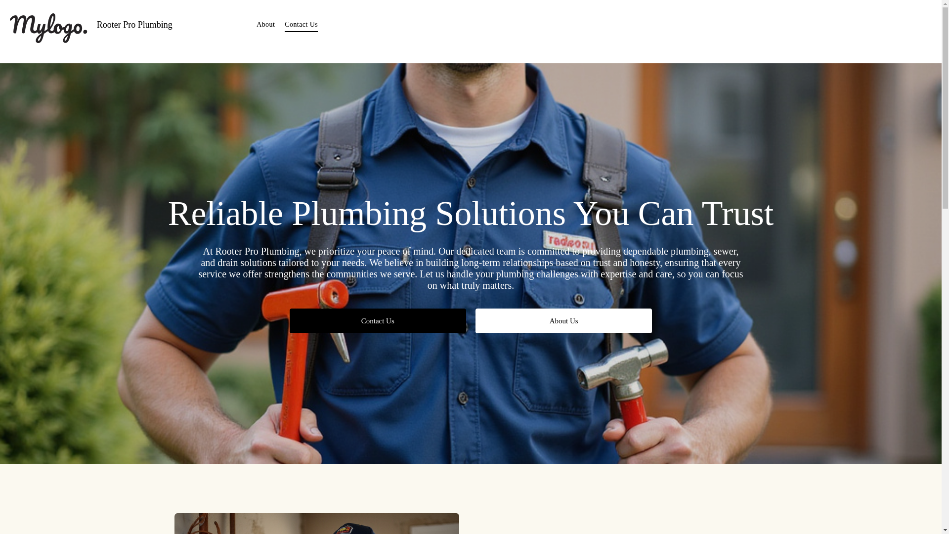 website screenshot of https://rooterproplumbing.org/