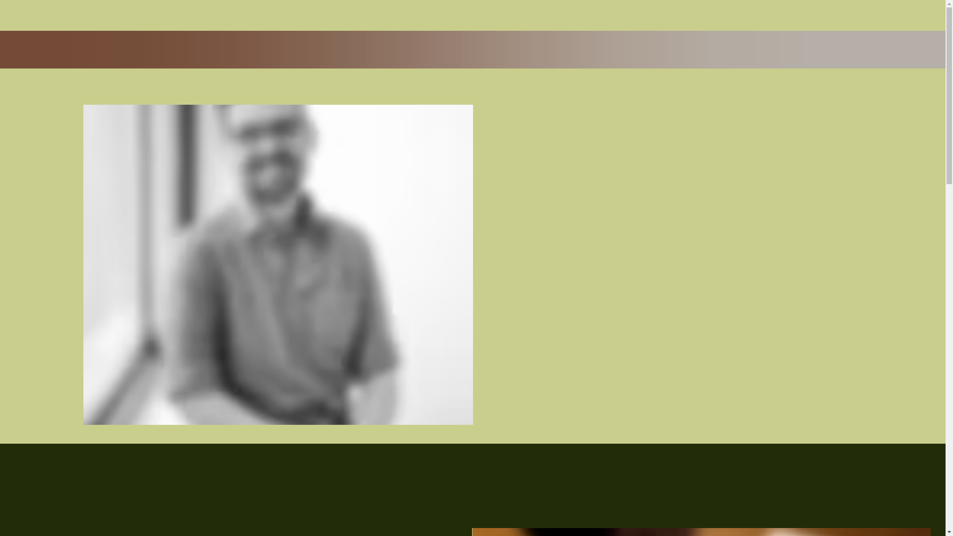 website screenshot of https://mitchellburgess.com/