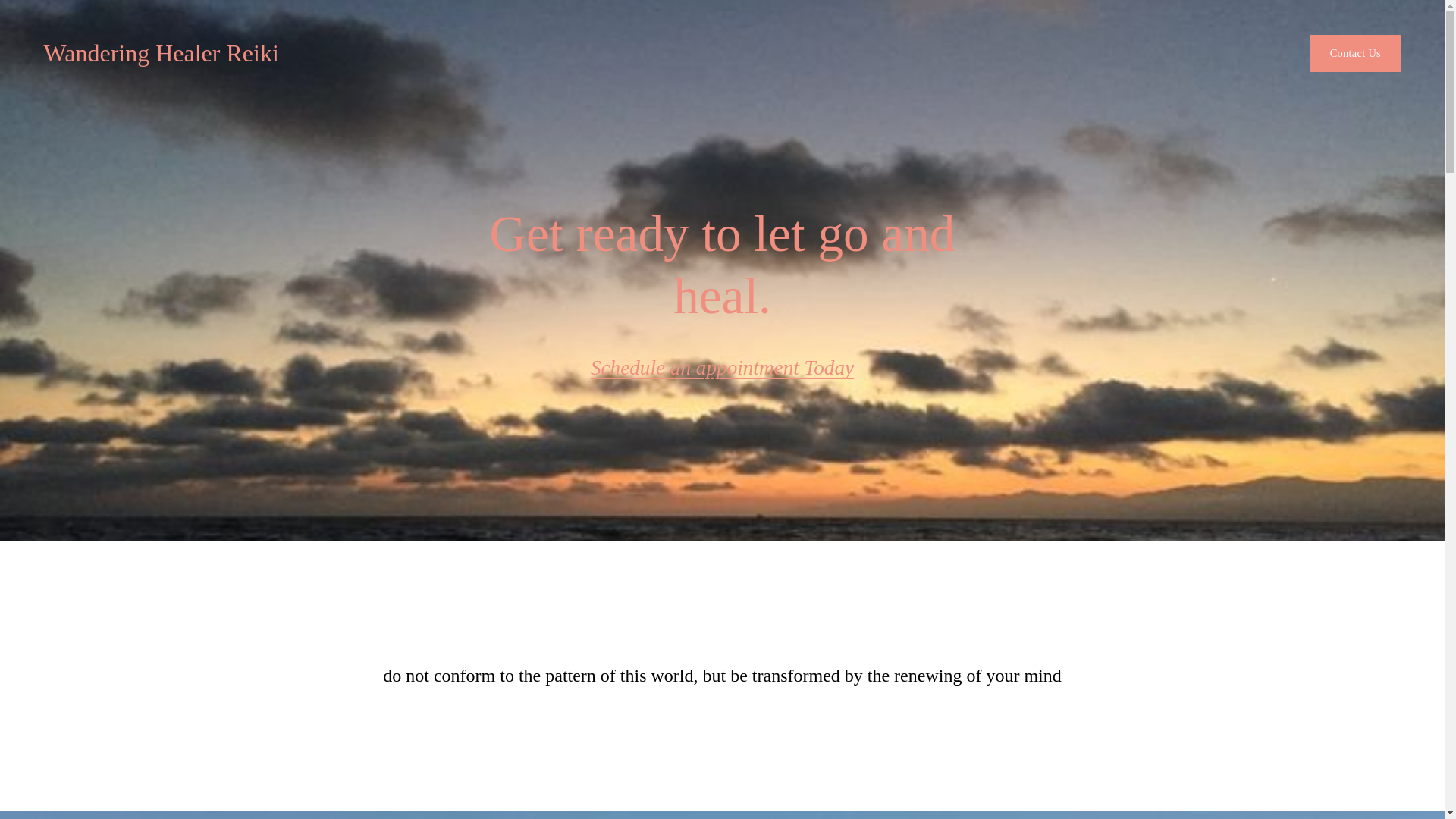 website screenshot of https://wanderinghealerreiki.com/