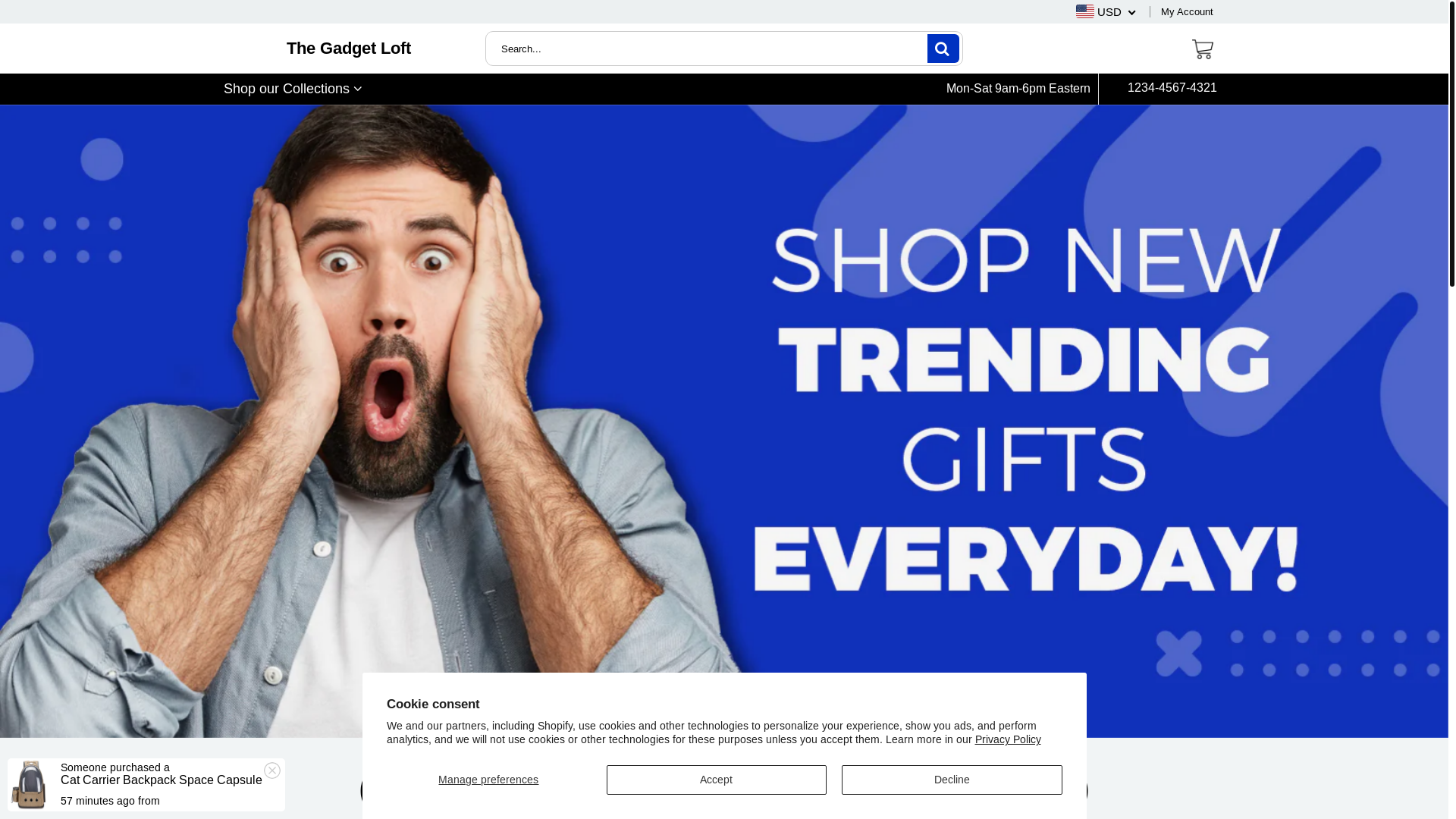 website screenshot of https://thegadgetloft.com/