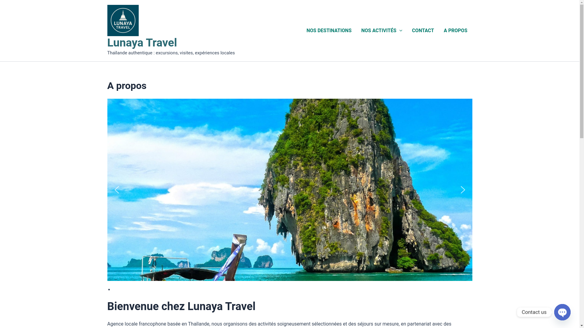 website screenshot of https://lunayatravel.com/