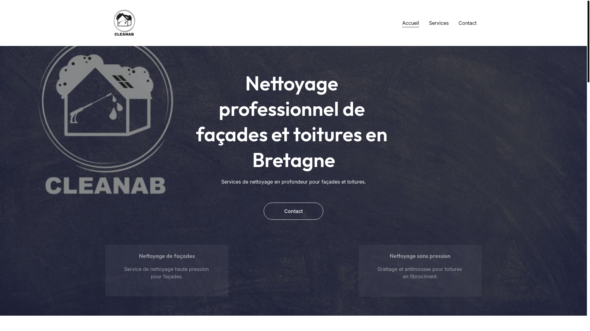 website screenshot of https://cleanab.net/
