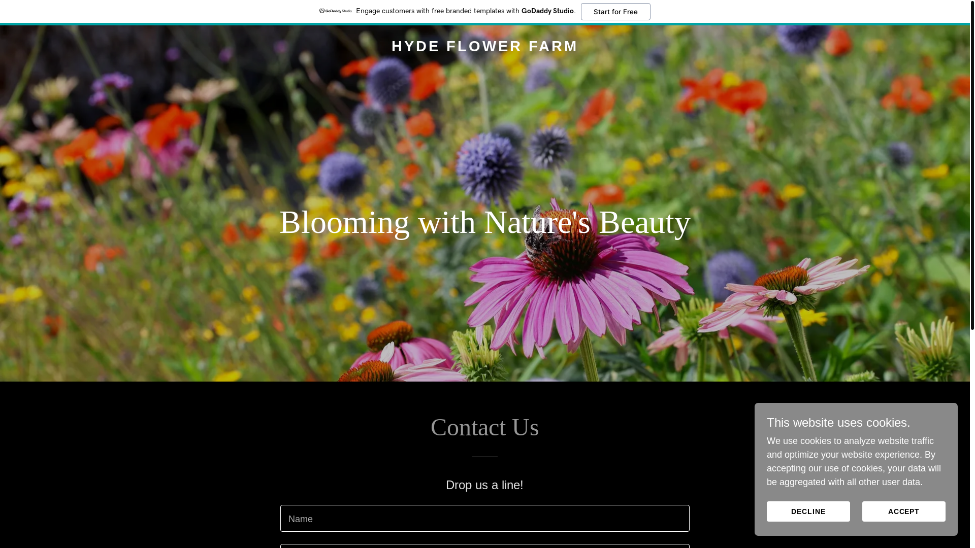 website screenshot of https://hydeflowerfarm.co.uk/