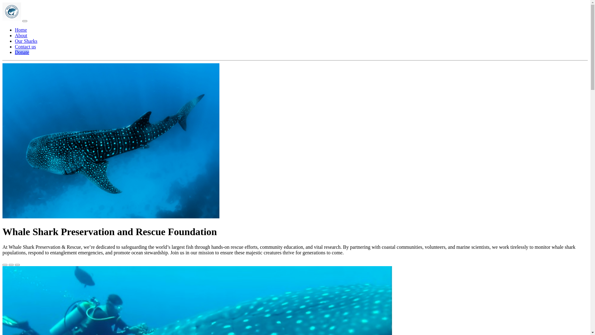website screenshot of https://whalesharkrescueboot.pages.dev/