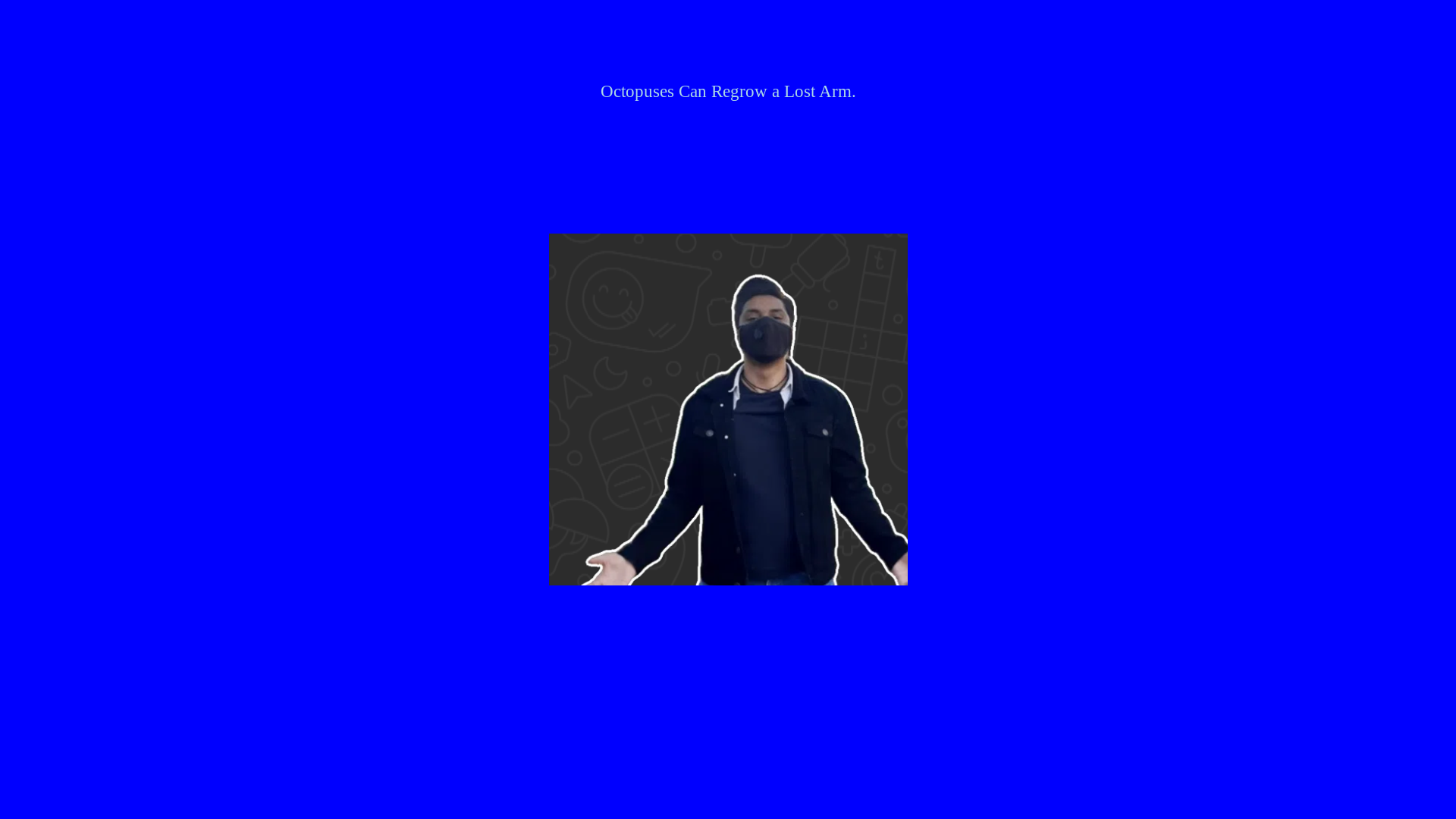 website screenshot of https://fear-aab.pages.dev/