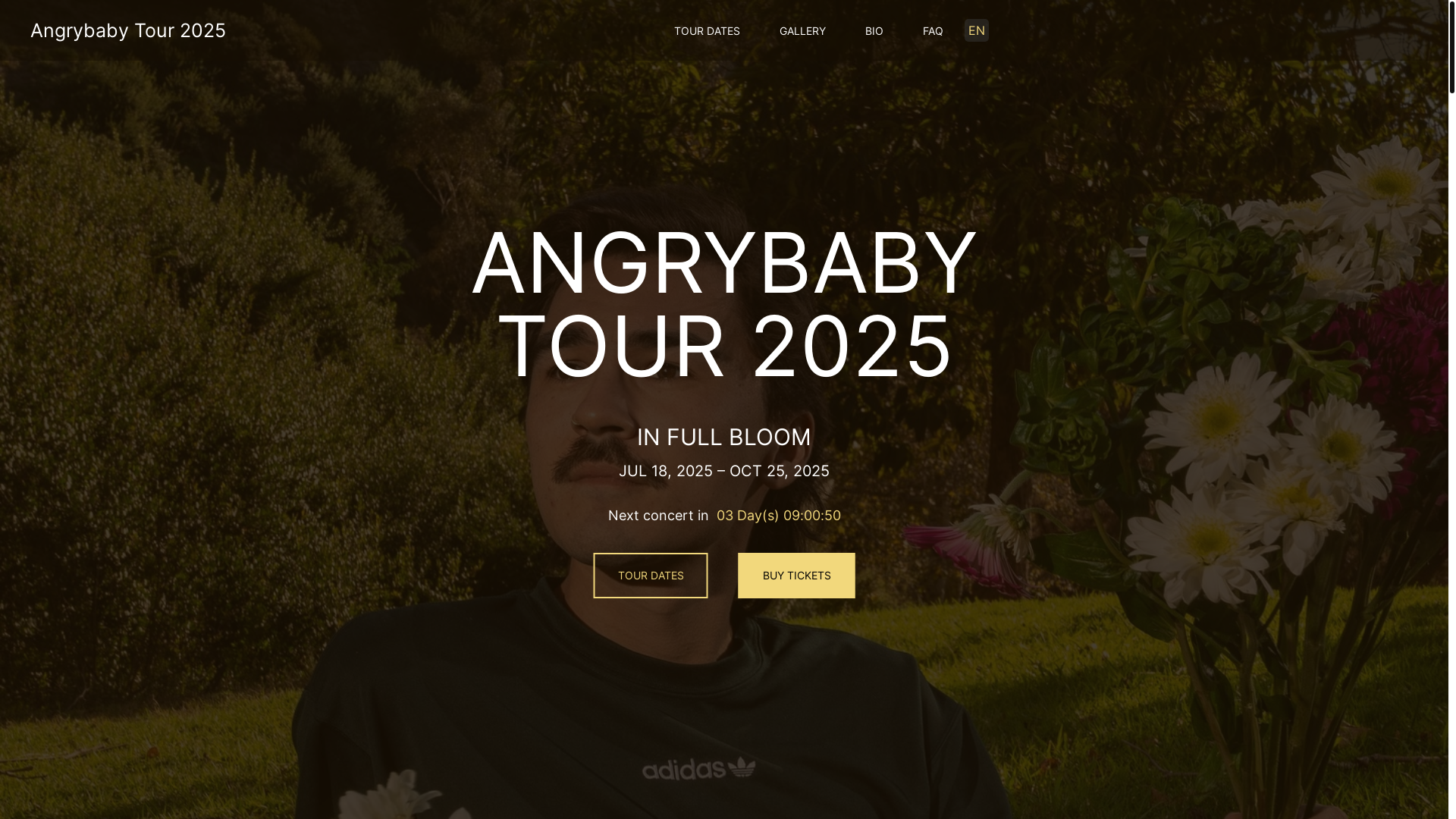 website screenshot of https://angrybabytour-com-github-io.pages.dev/
