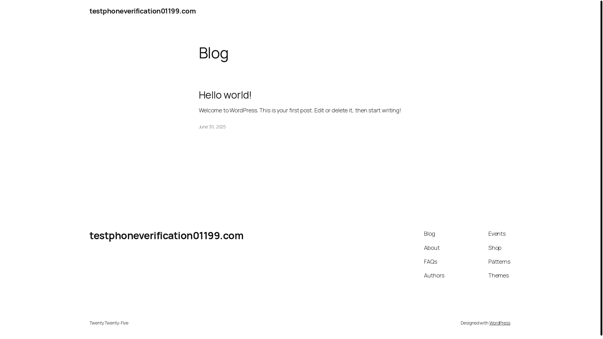 website screenshot of https://testphoneverification01199.com/