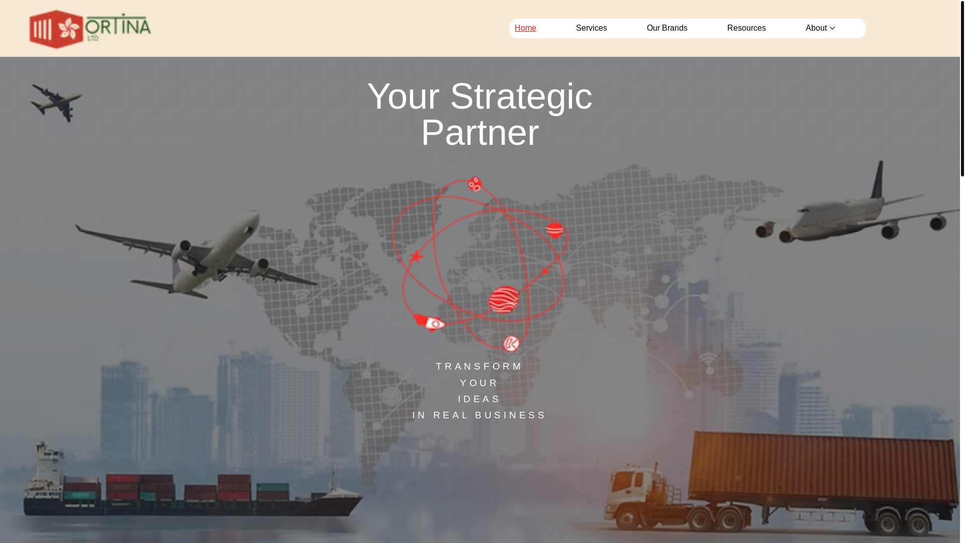 website screenshot of https://ortinaltd.com/