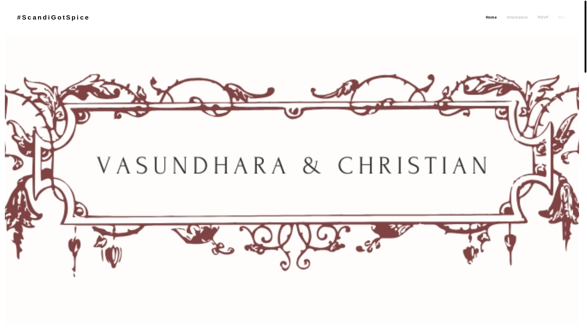 website screenshot of https://vasuchristian.dk/