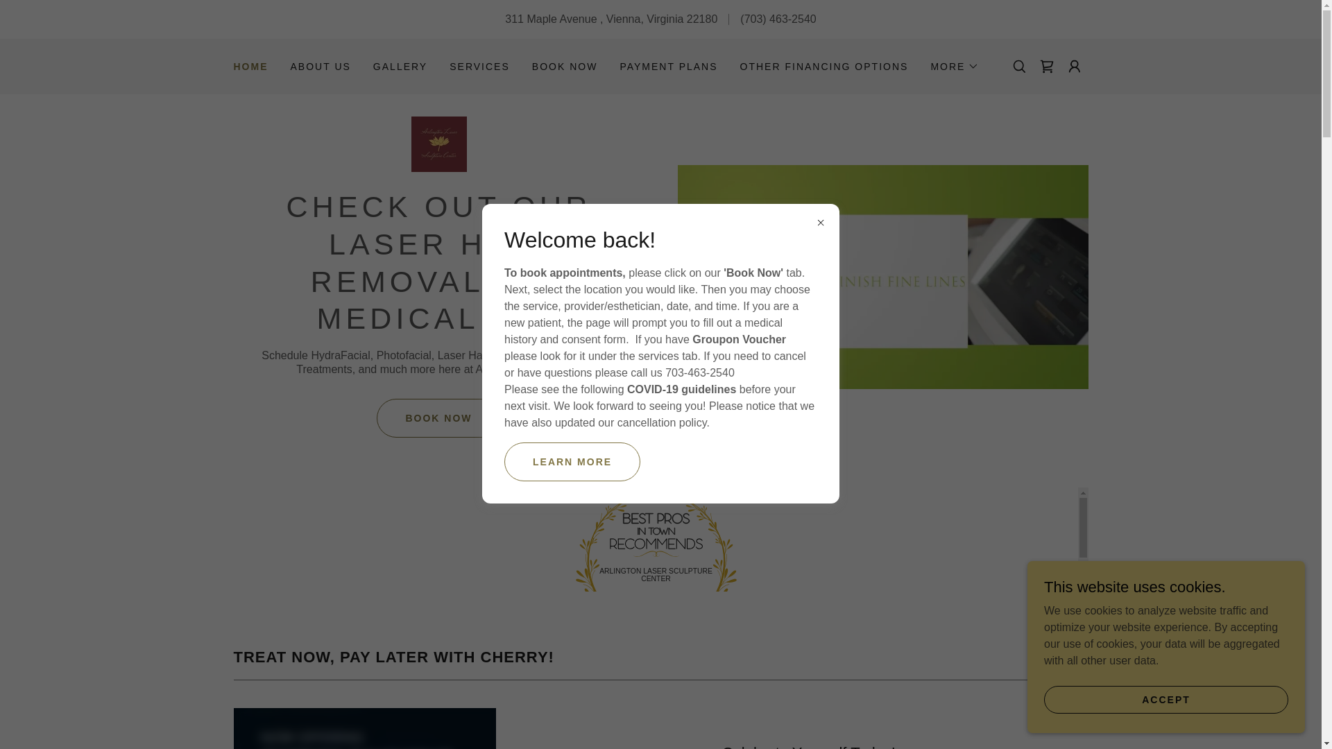 website screenshot of https://lasersculpturecenter.com/