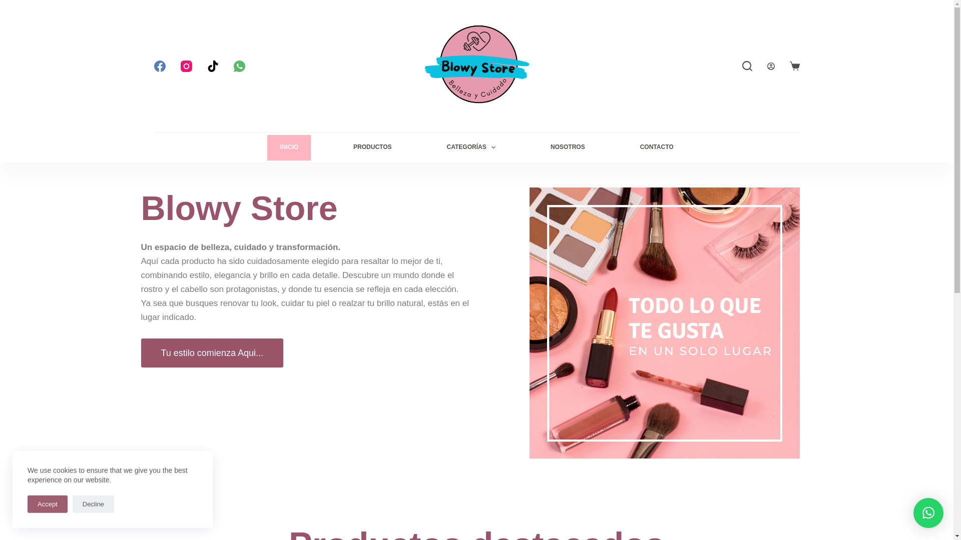 website screenshot of https://blowystore.com/