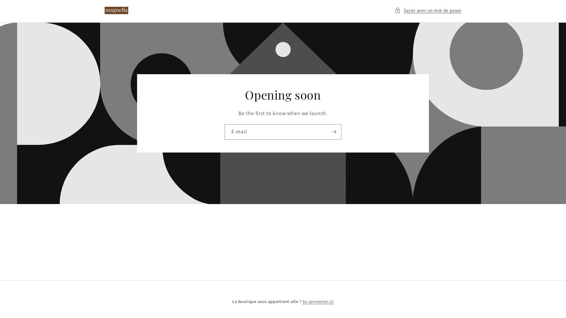 website screenshot of https://magnella.fr/