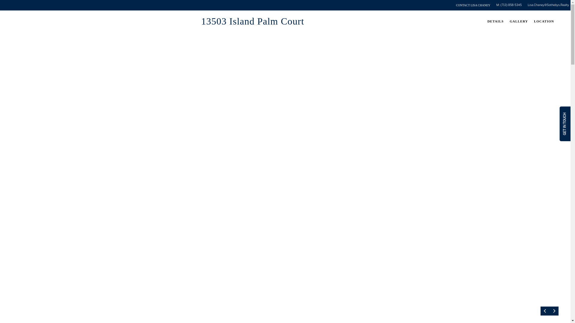 website screenshot of https://13503islandpalm.com/
