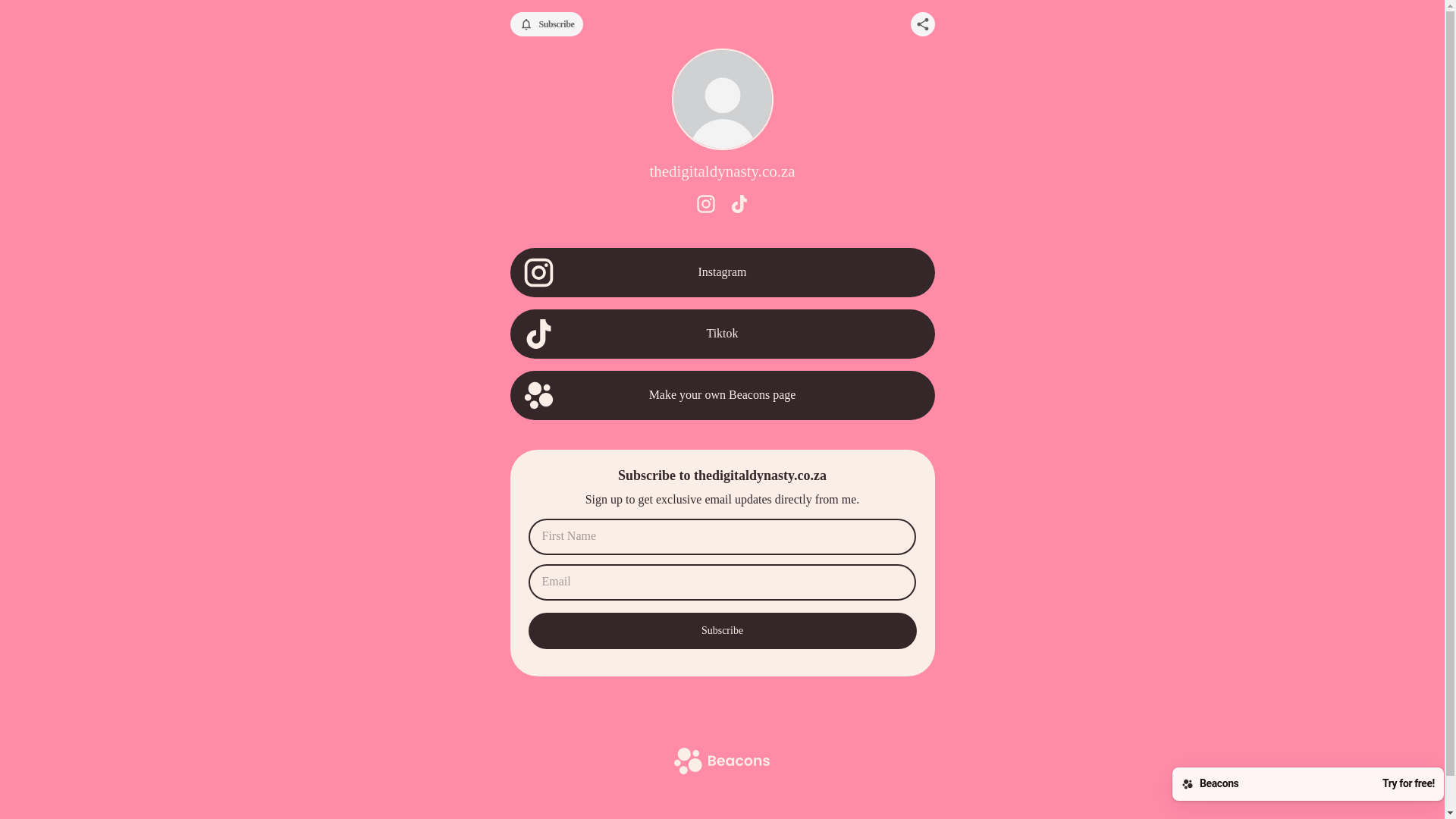 website screenshot of https://thedigitaldynasty.co.za/
