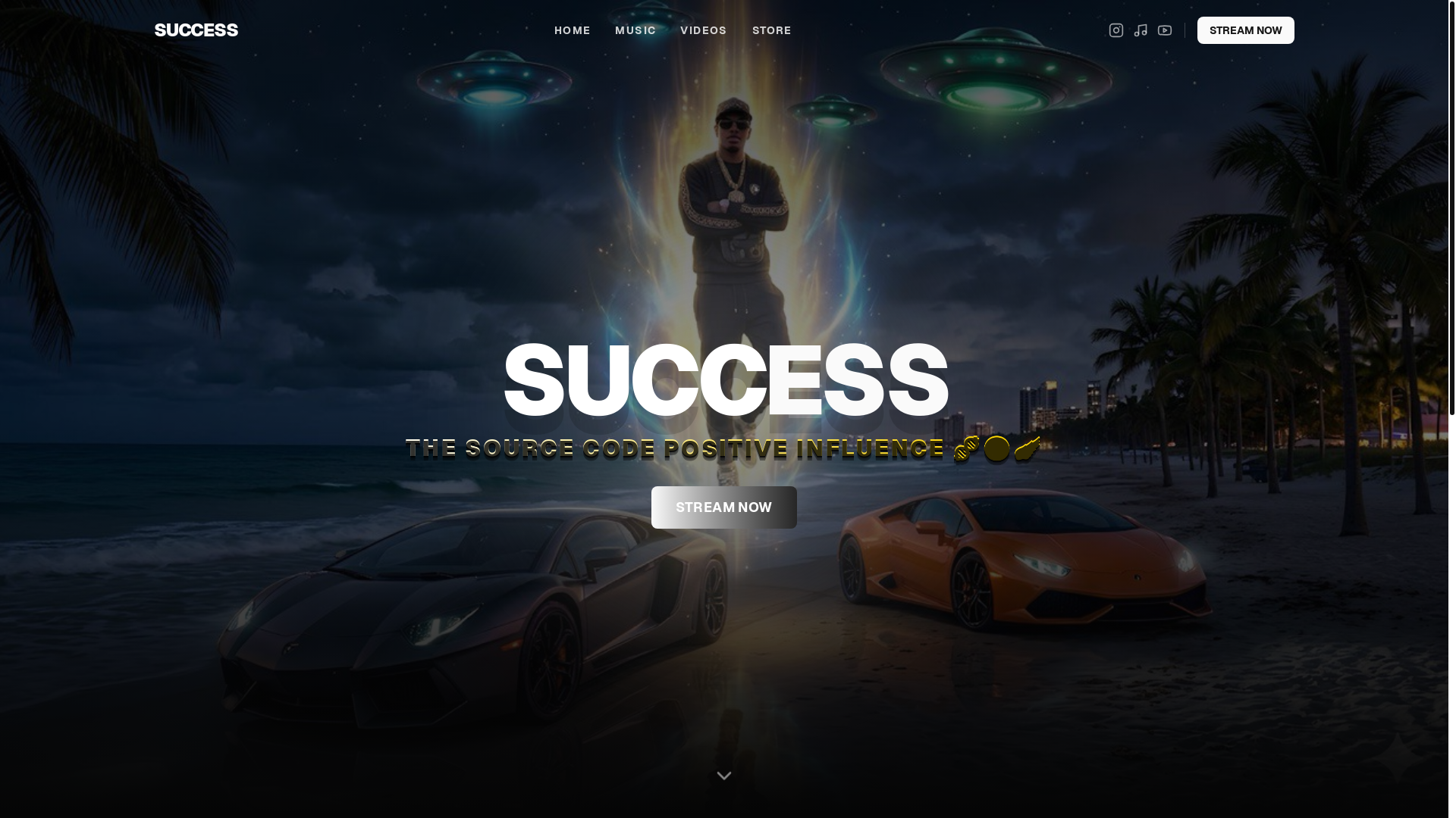 website screenshot of https://theonlysuccess.xyz/