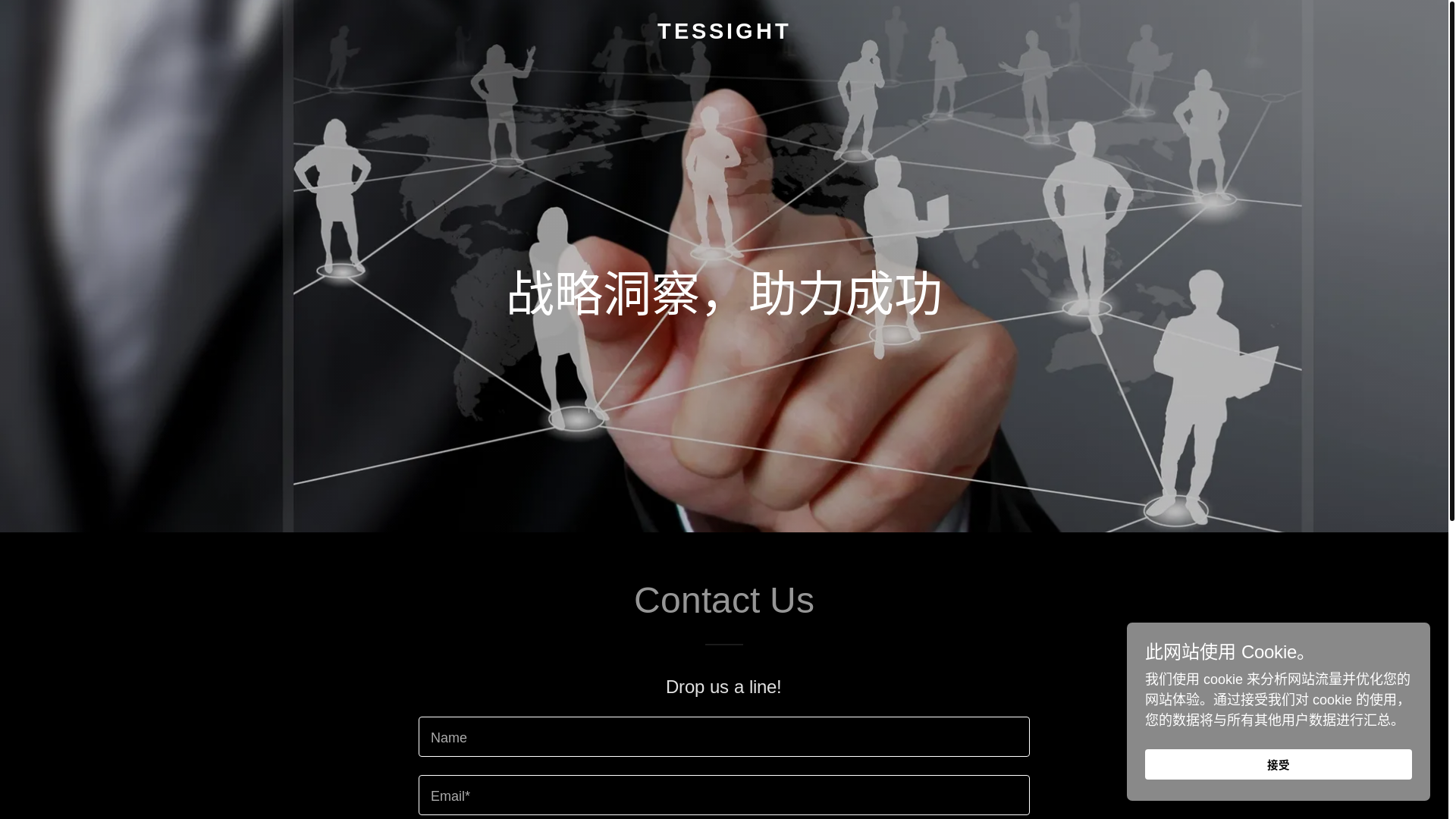 website screenshot of https://tessight.com/