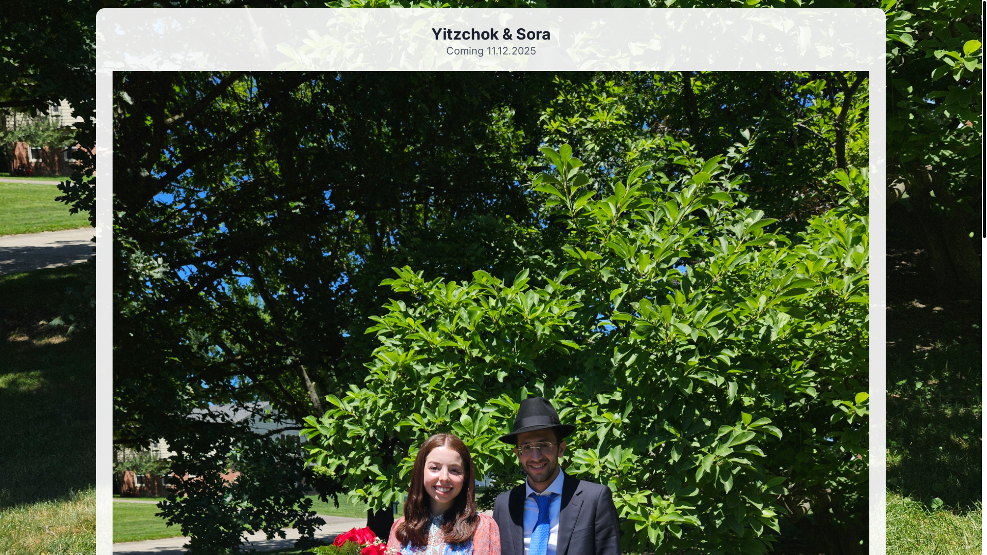 website screenshot of https://yitzchokandsora.com/