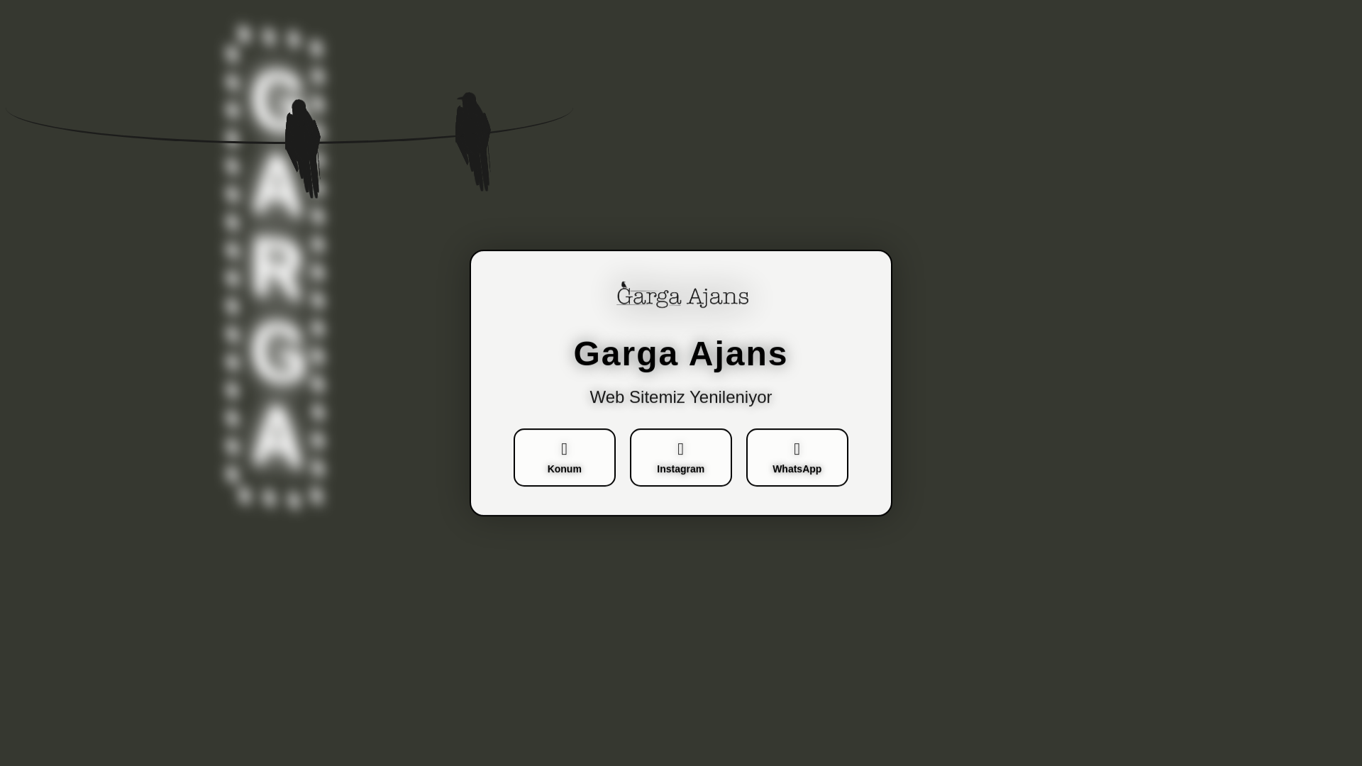 website screenshot of https://gargaajans.com/