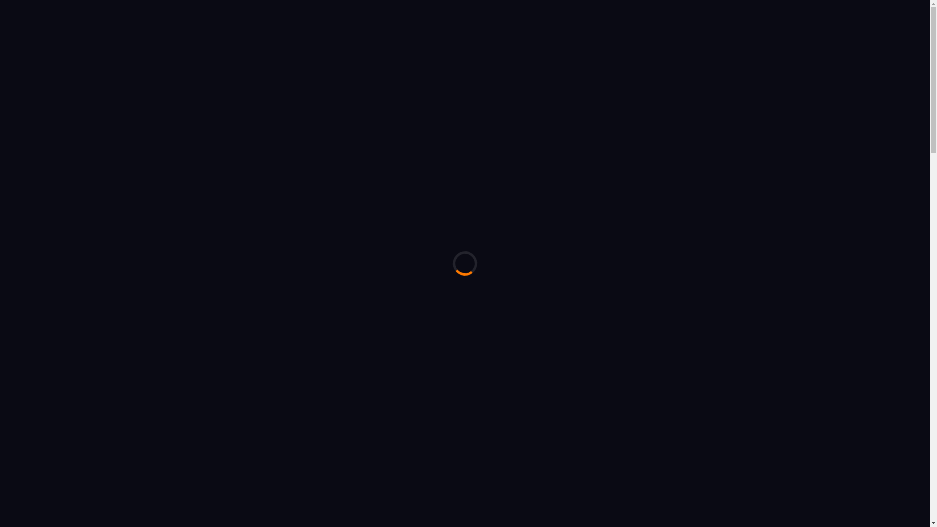 website screenshot of https://pocket-max.online/