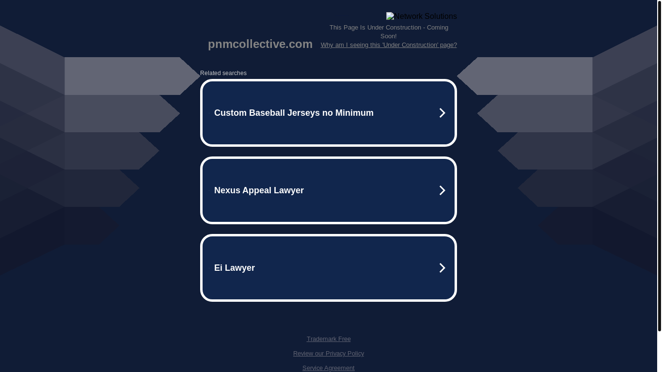 website screenshot of https://pnmcollective.com/