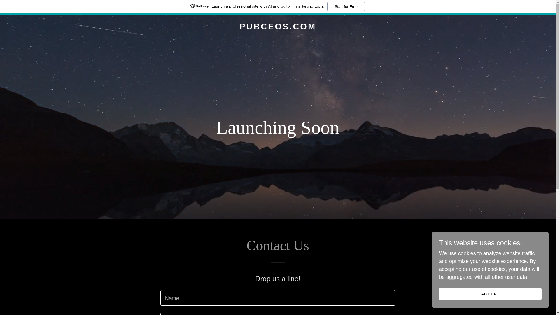 website screenshot of https://pubceos.com/
