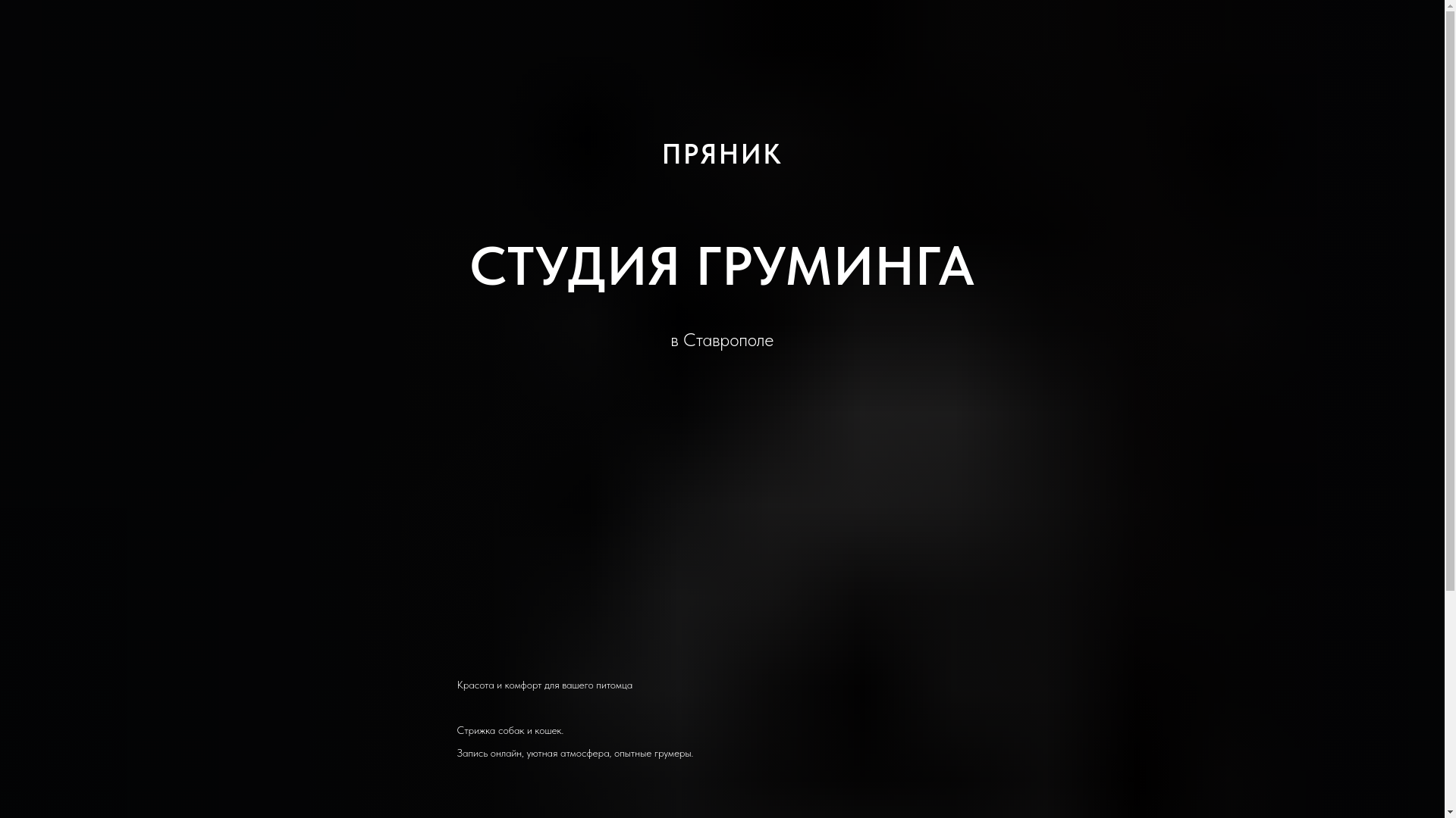 website screenshot of https://pryanikgroom.ru/