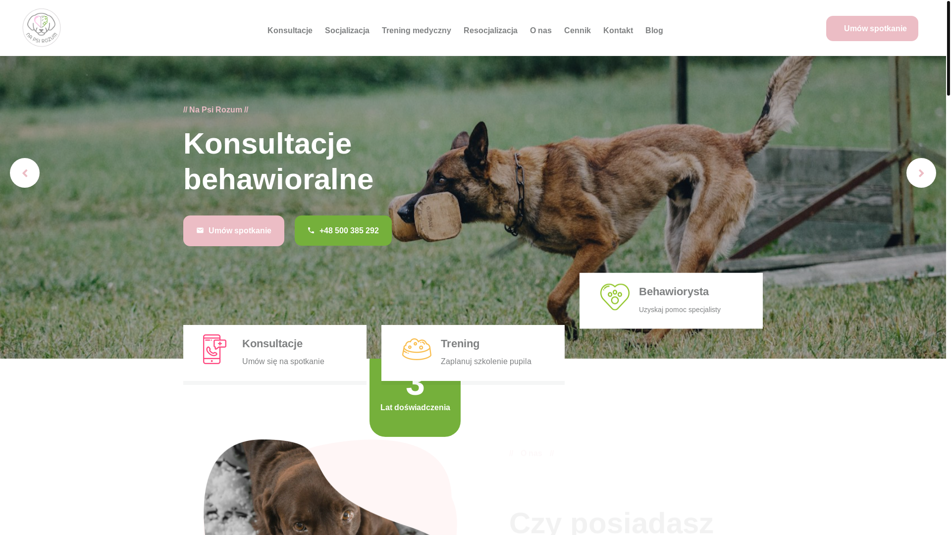 website screenshot of https://stay-hau.pl/