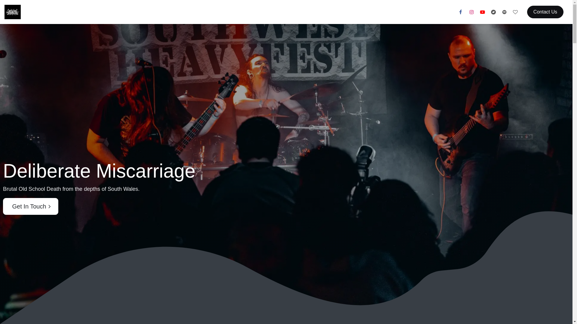 website screenshot of https://deliberatemiscarriage.com/