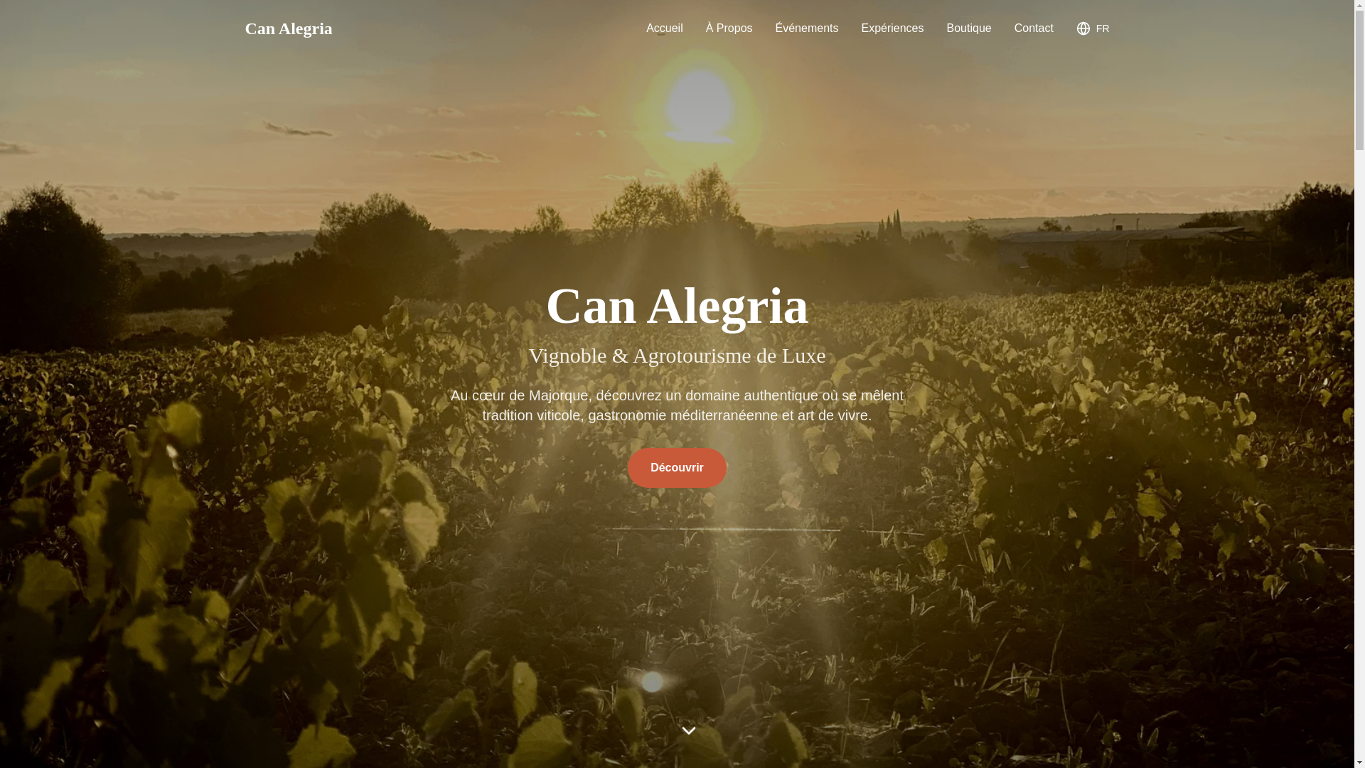website screenshot of https://preview-site.pro/