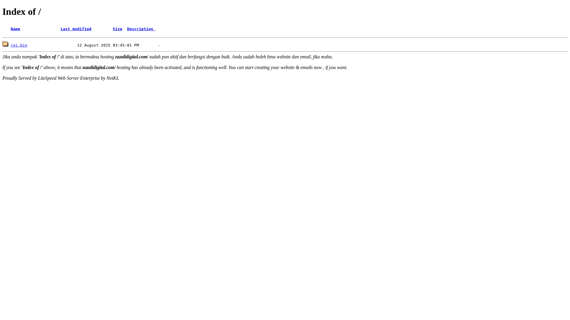 website screenshot of https://zazalidigital.com/