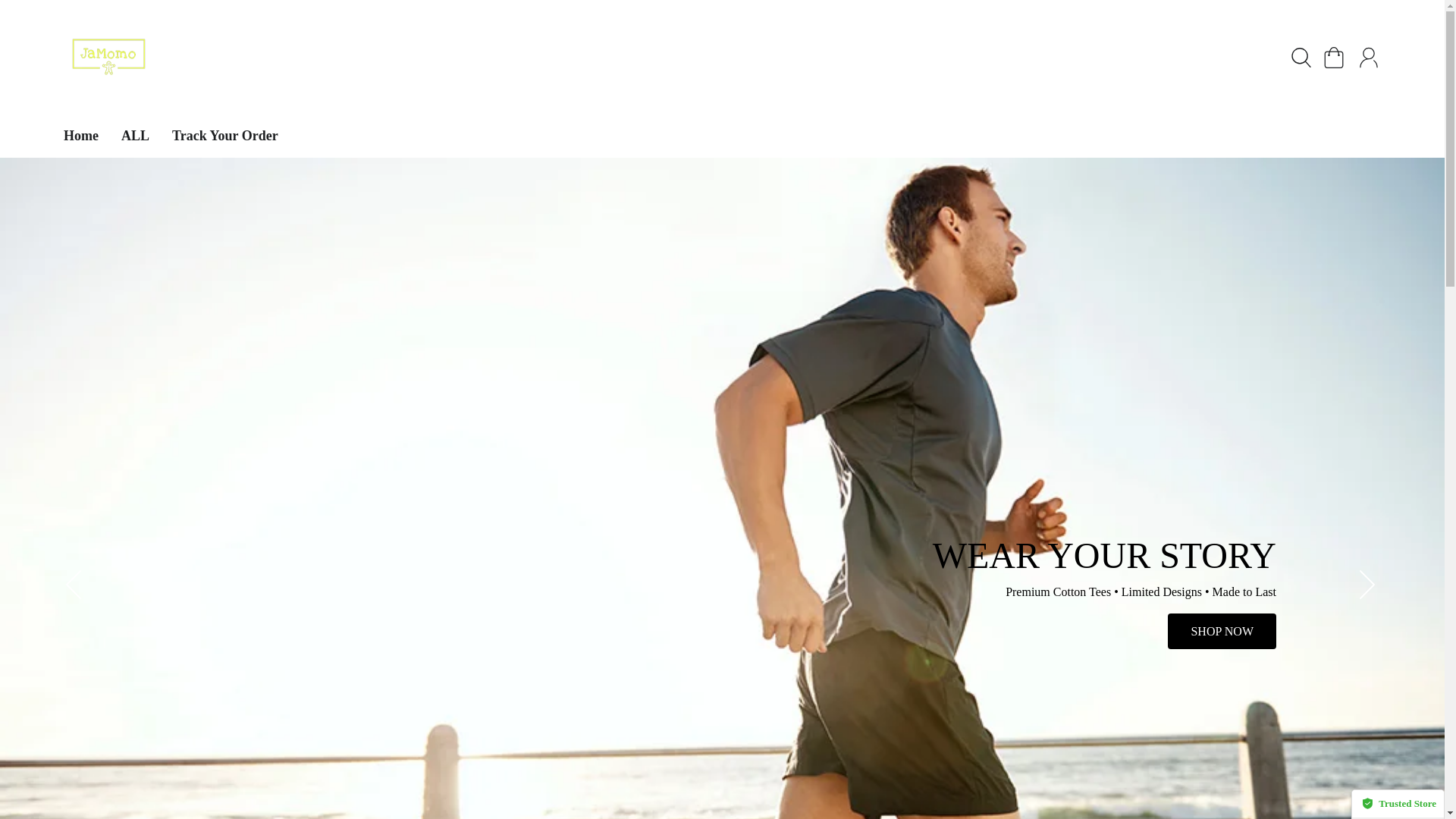 website screenshot of https://www.dianasnacks.shop/