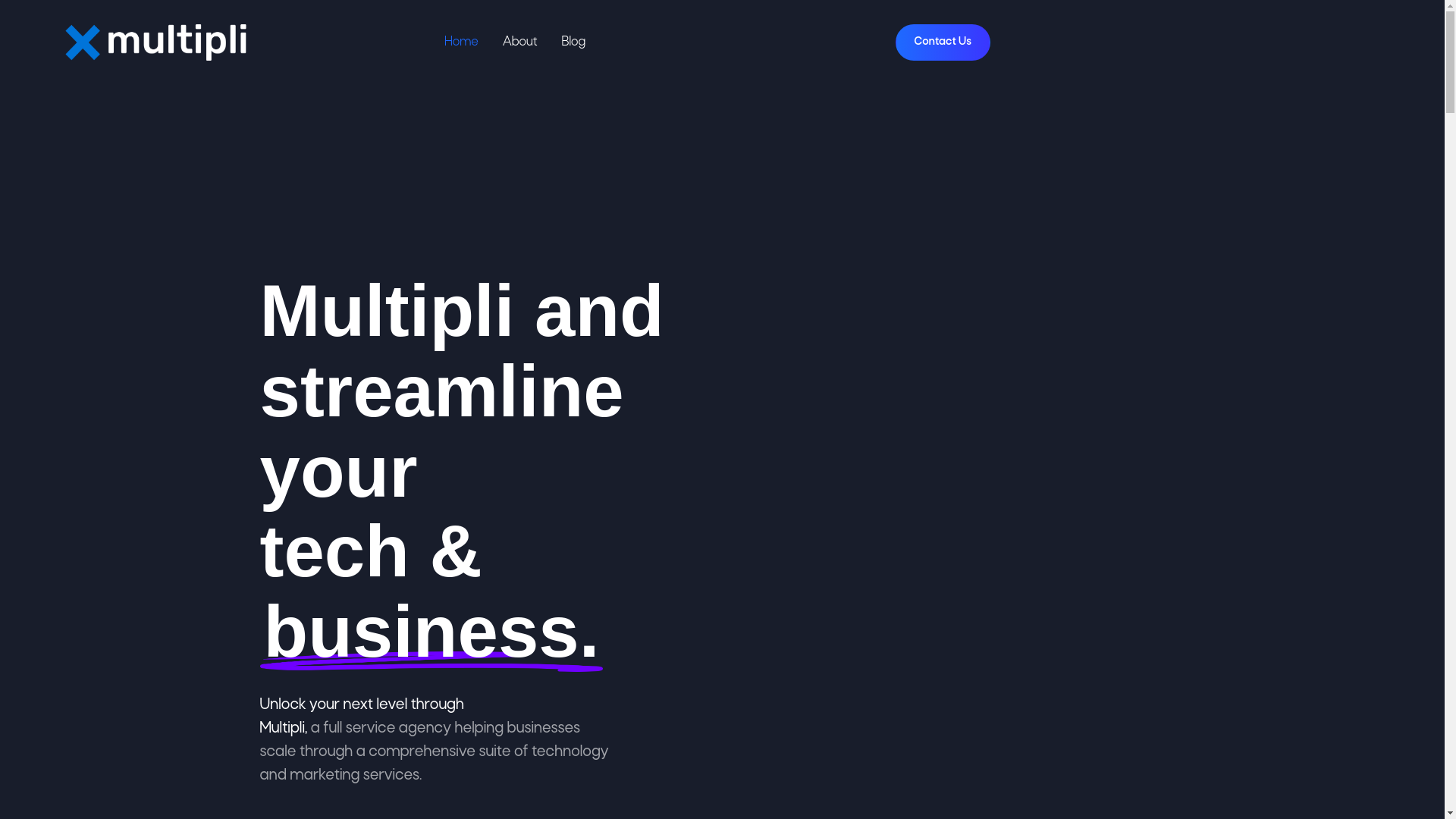 website screenshot of https://trymultiplitech.com/