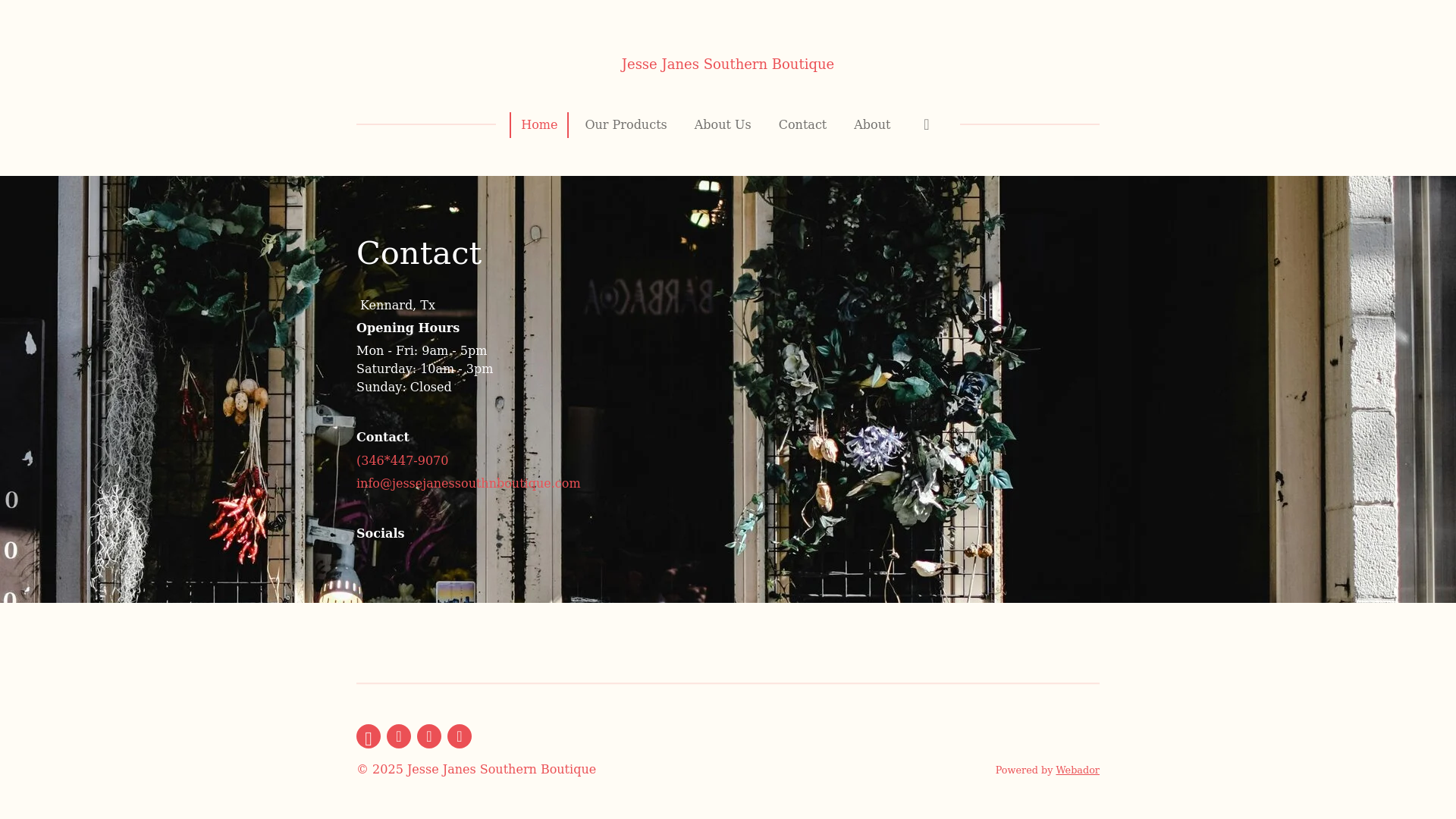 website screenshot of https://jessejanessouthernboutique.com/