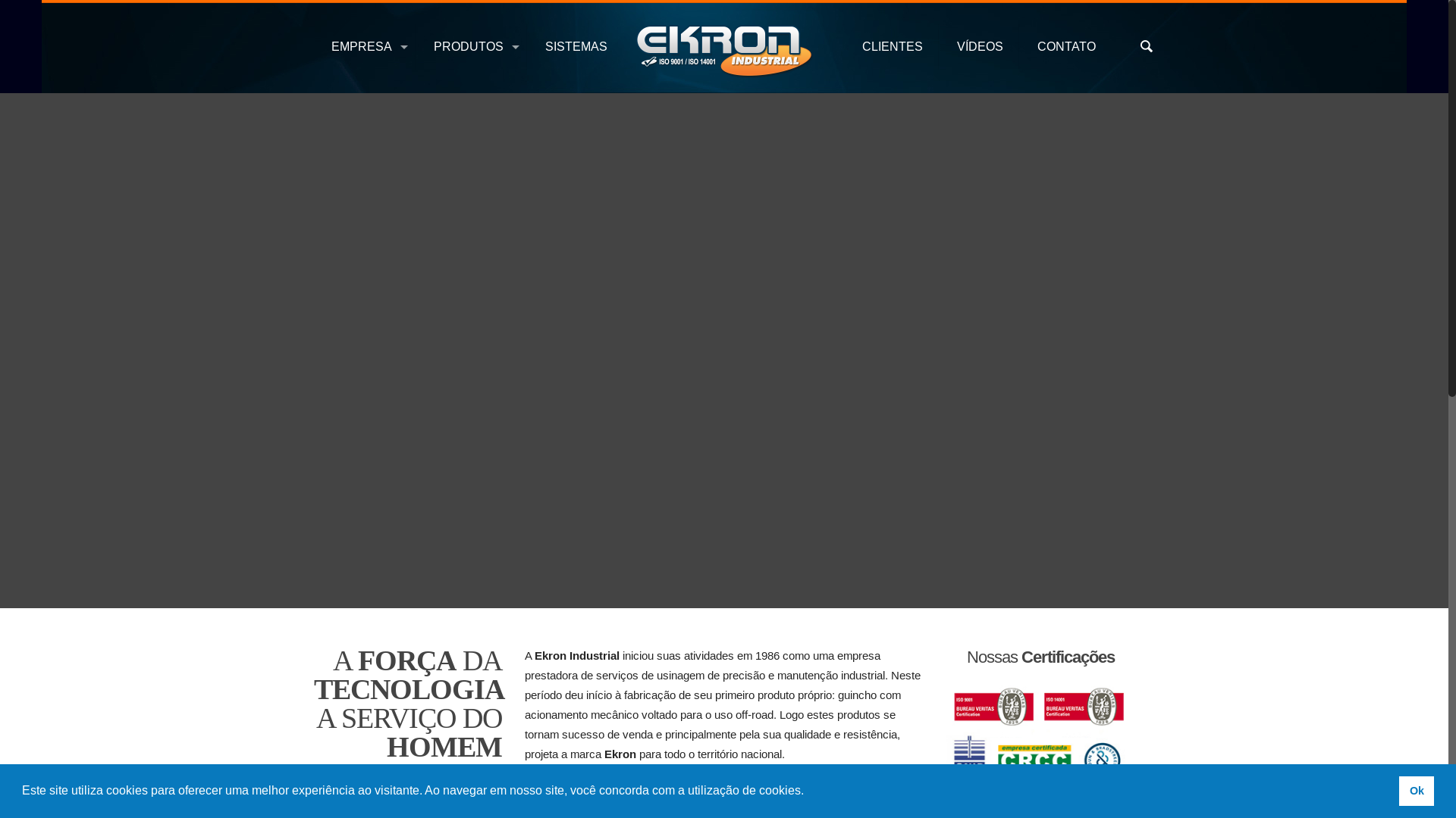 website screenshot of https://ekronservices.com/