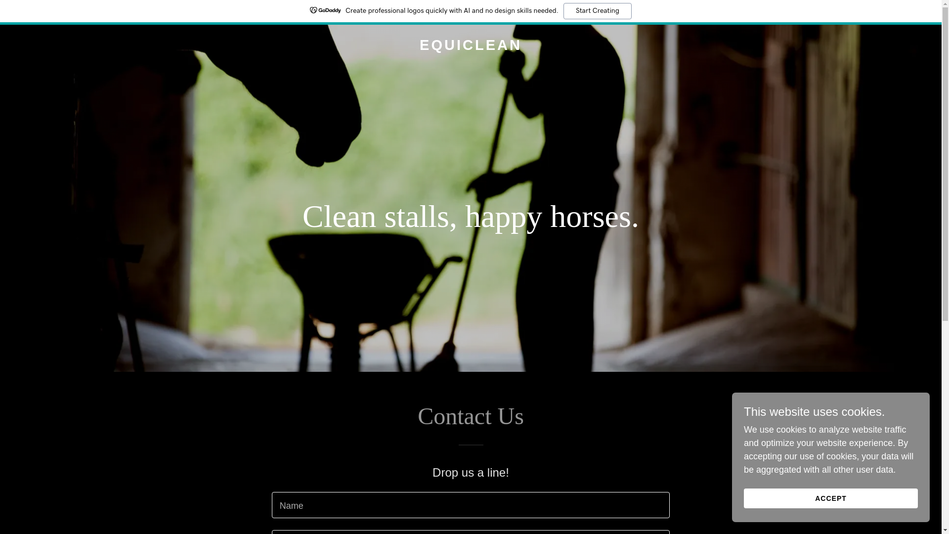 website screenshot of https://equicleanwpb.com/