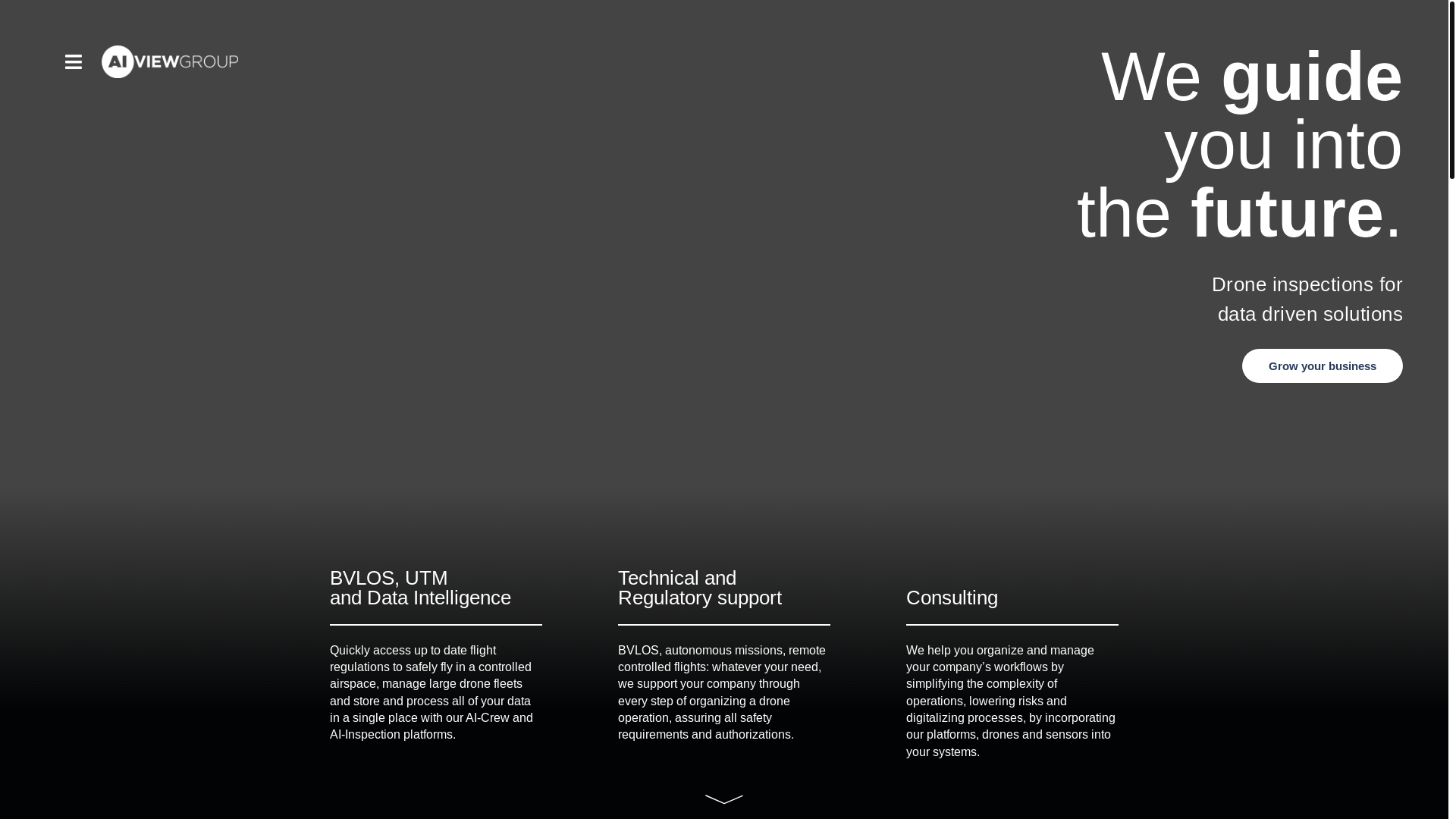 website screenshot of https://aiviewgroup.com/