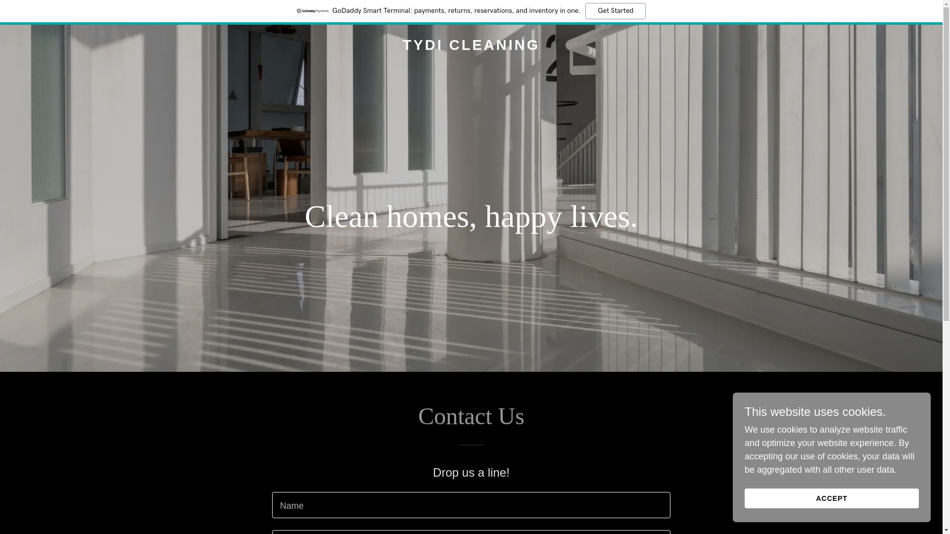 website screenshot of https://tydicleaning.com.au/