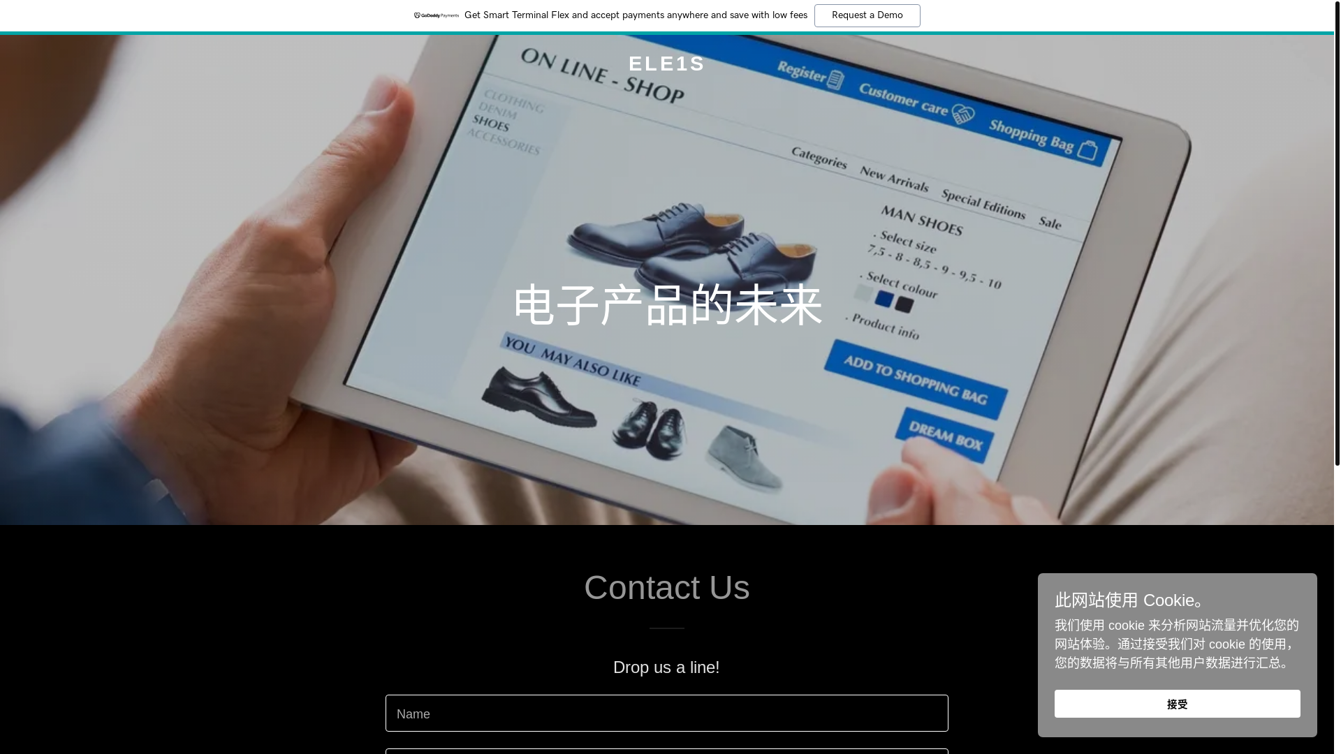 website screenshot of https://ele1s.com/