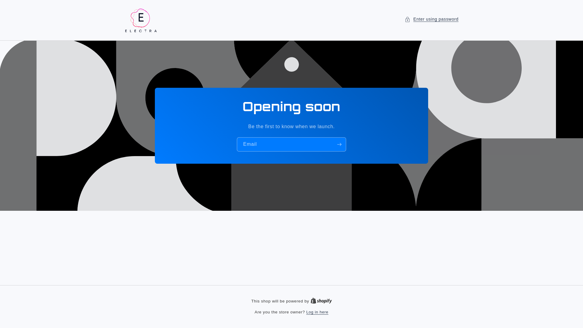 website screenshot of https://electrass.store/