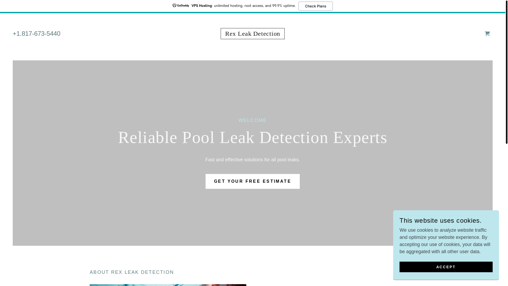 website screenshot of https://rexleakdetection.com/