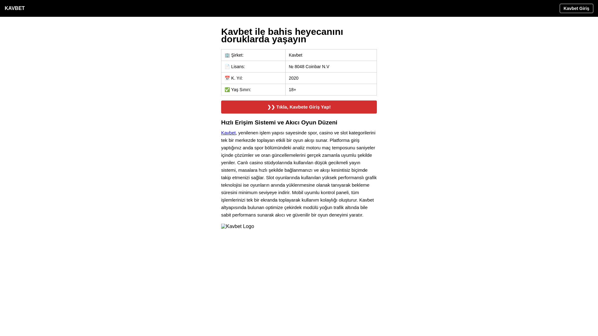 website screenshot of https://mavi-resmi-giris.vip/